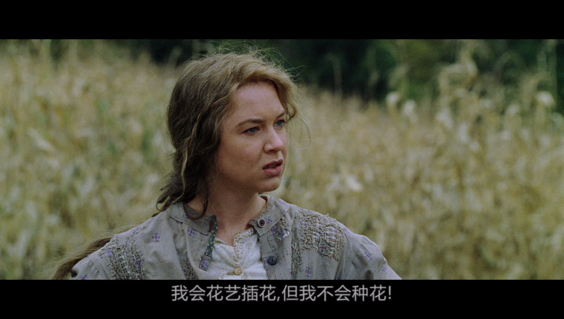 冷山/乱世情天 [德版diy繁简中字] Cold Mountain 2003 1080p Blu-ray Ger AVC DTS MA 5.1-HDSky [2.42 GB]-5.jpg