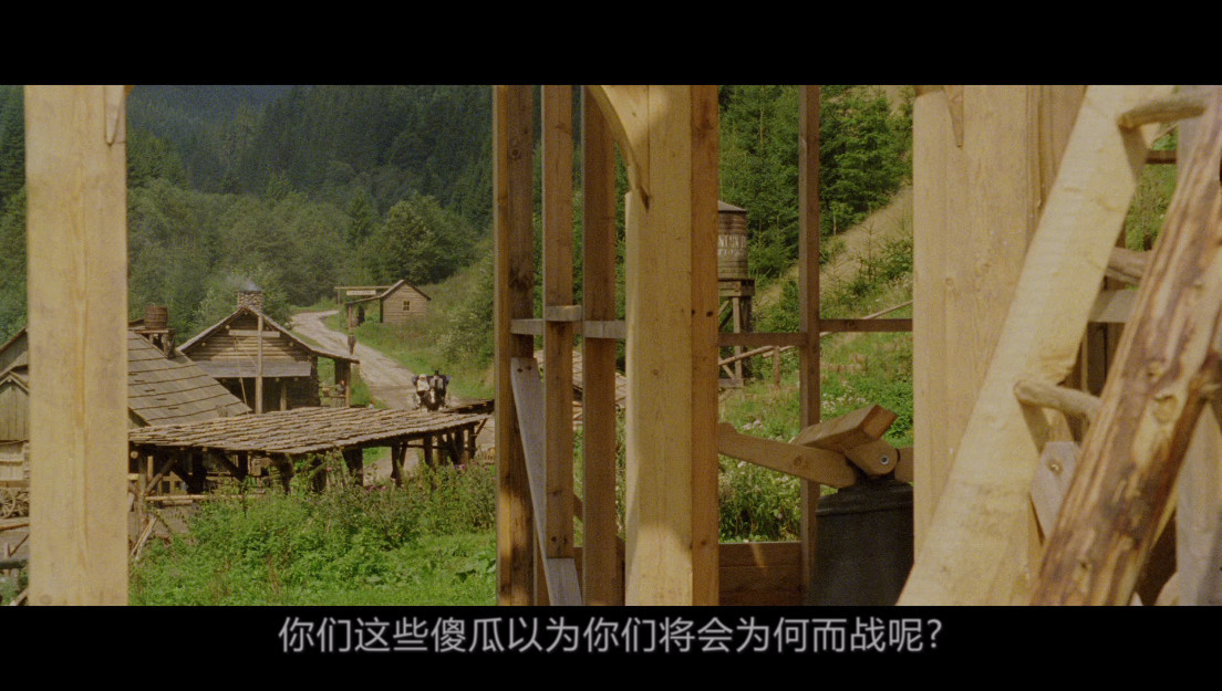 冷山/乱世情天 [德版diy繁简中字] Cold Mountain 2003 1080p Blu-ray Ger AVC DTS MA 5.1-HDSky [2.42 GB]-3.jpg