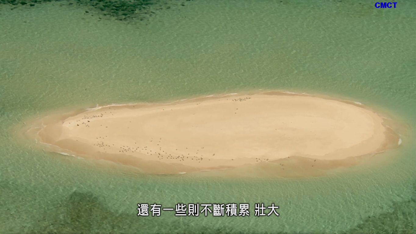 BBC大堡礁/海洋天堂大堡礁 [全三集] [原盘DIY国英双语/双国配] [简/繁/英/国配/双语特效字幕]  BBC.Great.Barrier.Reef.2012.Blu-ray.1080i.AVC.DTS-HD.MA.2.0-CMCT    [35.92 GB]-21.bmp