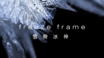 冰冻星球 [原盘DIY] [央视国语] [简繁特效中字] *改进版* BBC.Earth.Frozen.Planet.S01.Blu-ray.1080i.AVC.DTS-HD.MA.5.1-TTG    [115.29 GB]-9.jpg