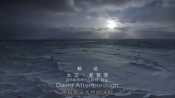 冰冻星球 [原盘DIY] [央视国语] [简繁特效中字] *改进版* BBC.Earth.Frozen.Planet.S01.Blu-ray.1080i.AVC.DTS-HD.MA.5.1-TTG    [115.29 GB]-6.jpg