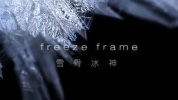 冰冻星球 [原盘DIY] [央视国语] [简繁特效中字] *改进版* BBC.Earth.Frozen.Planet.S01.Blu-ray.1080i.AVC.DTS-HD.MA.5.1-TTG    [115.29 GB]-8.jpg