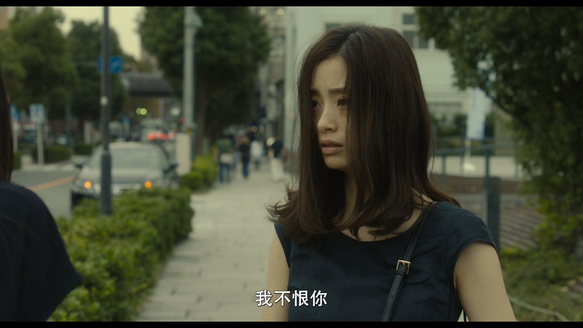 昼颜电影版/画颜(台)【DIY简繁中字】 Hirugao 2017 1080p Blu-ray AVC DTS-HD MA5.1-Huan@HDSky    [39.08 GB ]-5.jpg