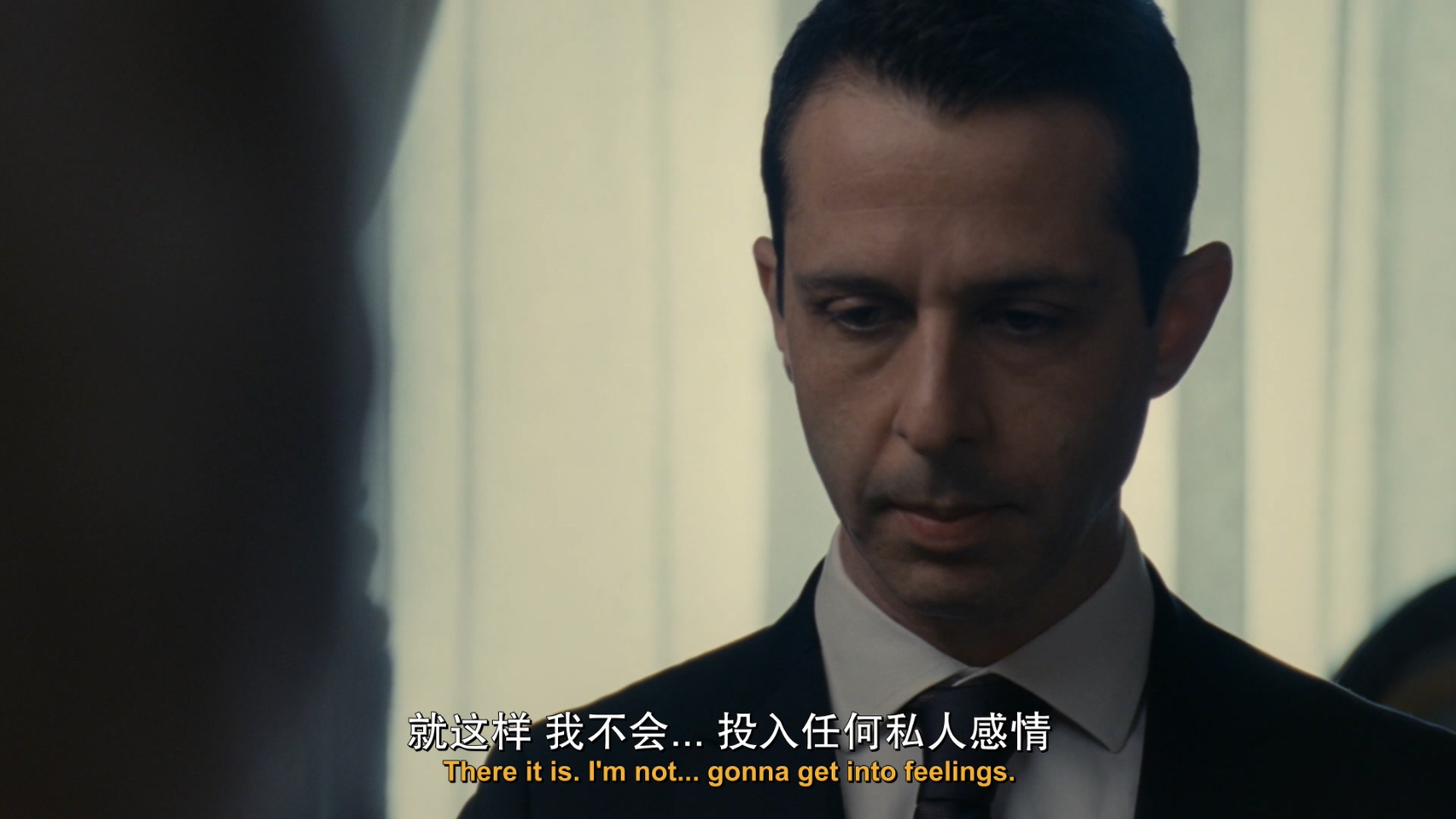 继承之战 第一季 全10集【DIY简繁/双语字幕】 Succession S01 GER 1080p Blu-ray AVC DTS-HD MA 5.1-Huan@HDSky    [113.16 GB ]-2.jpg