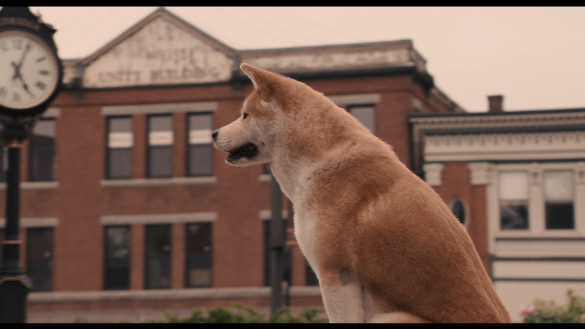 忠犬八公的故事/忠犬小八(台)/秋田犬八千(港)/忠犬传奇 [DIY简繁英四字幕][BDJ菜单修改] Hachi A Dog's Tale 2009 Bluray 1080p AVC DTS-HD MA 5.1-Alpha@OurBits    [23.08 GB ]-7.png