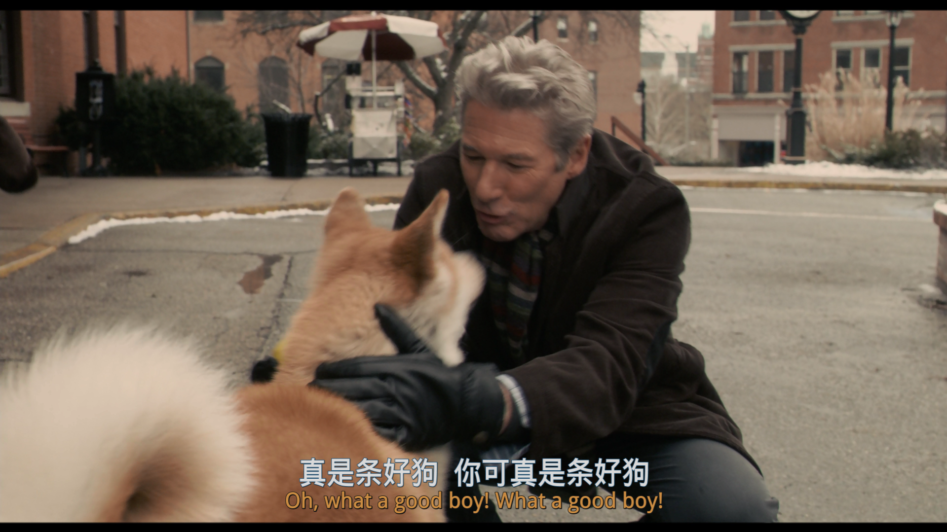 忠犬八公的故事/忠犬小八(台)/秋田犬八千(港)/忠犬传奇 [DIY简繁英四字幕][BDJ菜单修改] Hachi A Dog's Tale 2009 Bluray 1080p AVC DTS-HD MA 5.1-Alpha@OurBits    [23.08 GB ]-8.png