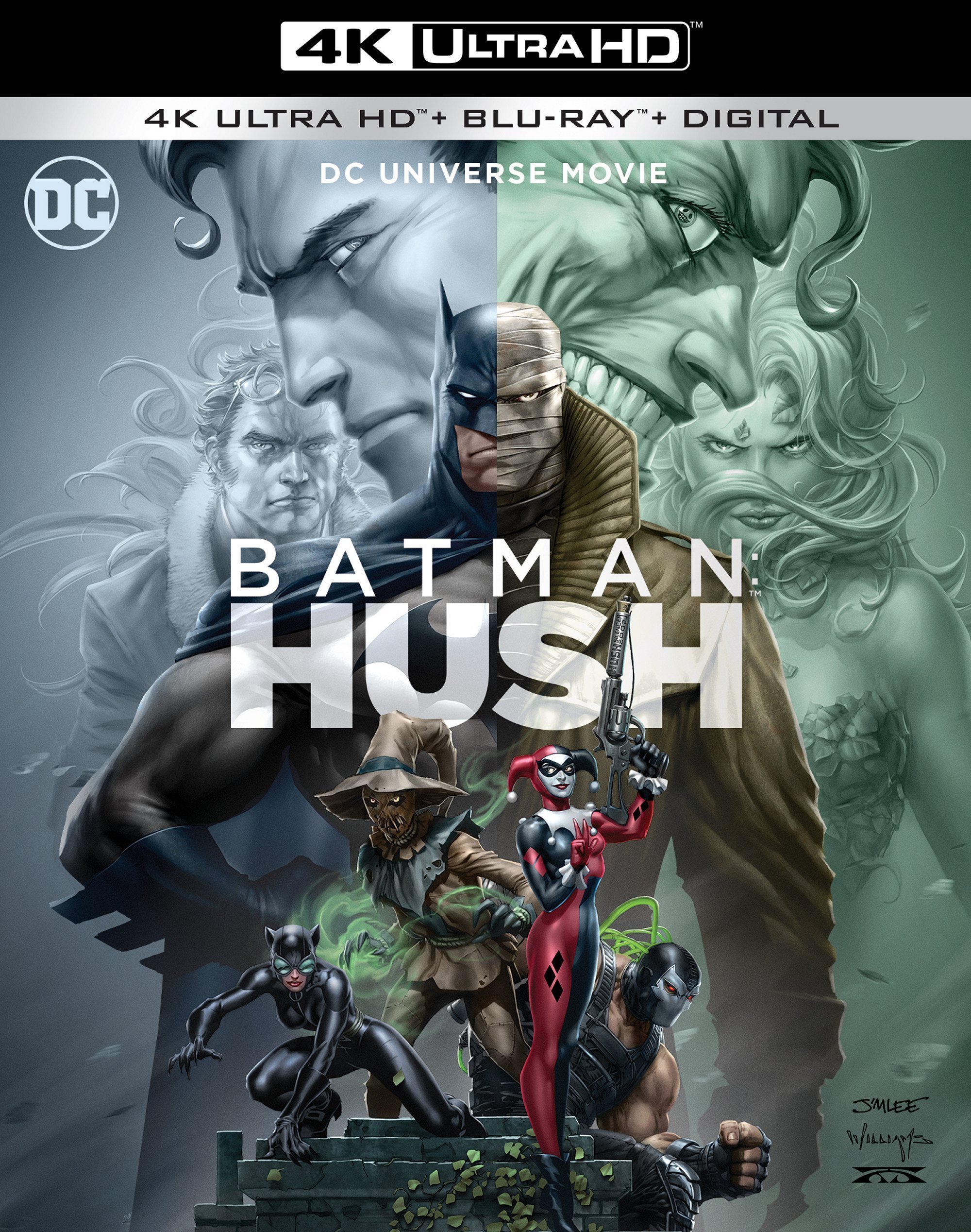 蝙蝠侠：缄默 [DIY简繁英字幕] Batman Hush 2019 UHD BluRay 2160p HEVC DTS-HD MA5 1-AA@OurBits    [57.37 GB ]-1.jpg