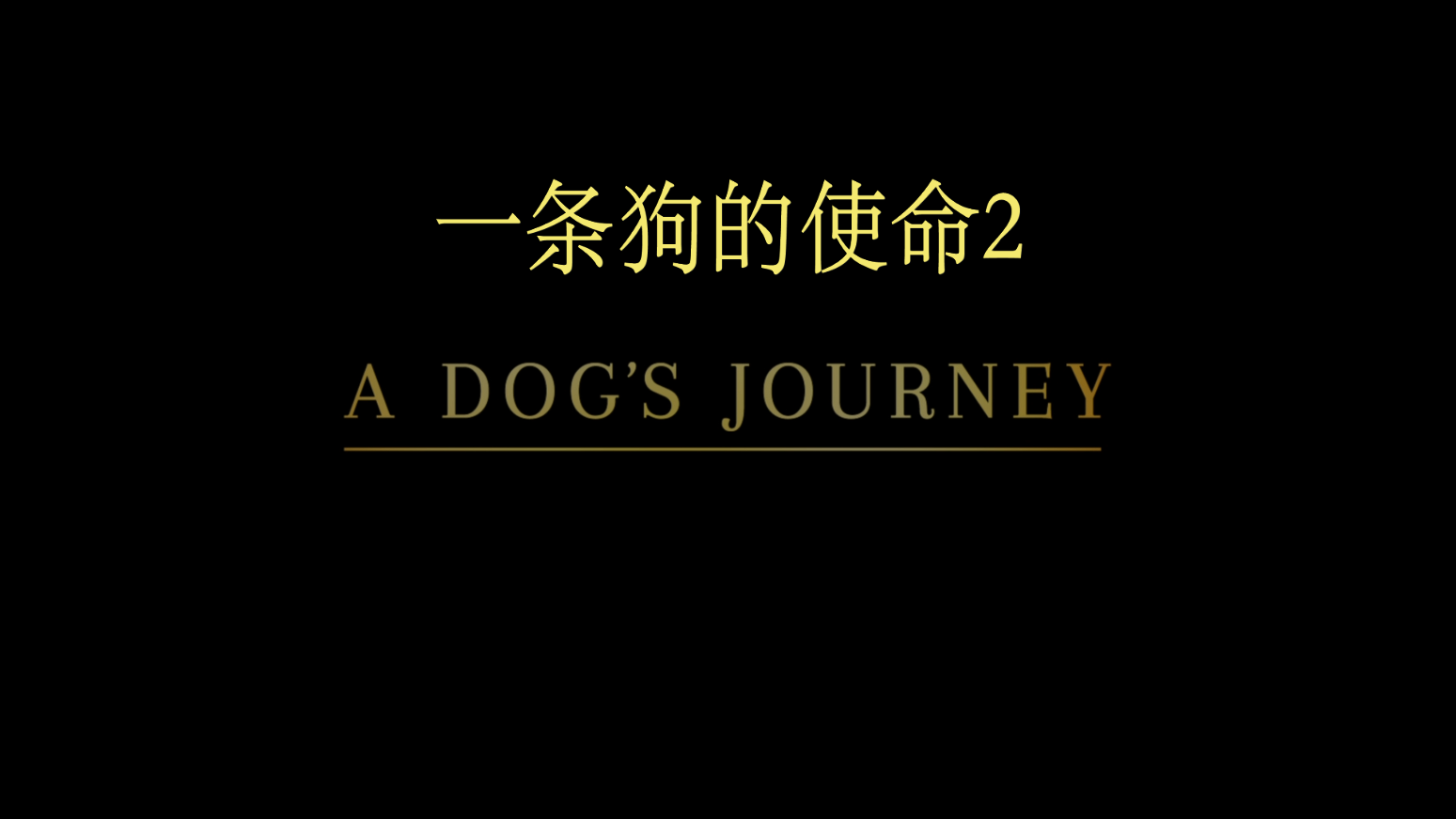 一条狗的使命2/一条狗的旅程/为了与你相遇2【原盘DIY简繁/双语字幕】 A Dog's Journey 2019 1080p Blu-ray AVC TrueHD7.1 Atmos-Thor@HDSky [43.63 GB]-4.png