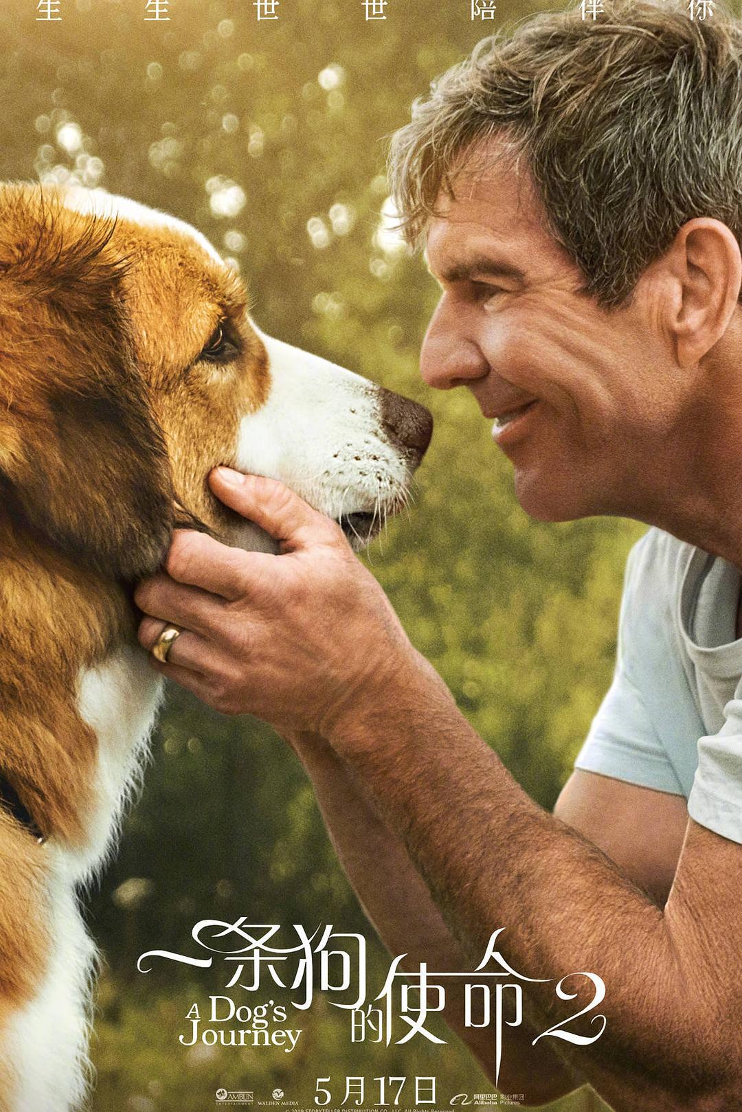一条狗的使命2/一条狗的旅程/为了与你相遇2【原盘DIY简繁/双语字幕】 A Dog's Journey 2019 1080p Blu-ray AVC TrueHD7.1 Atmos-Thor@HDSky [43.63 GB]-2.jpg