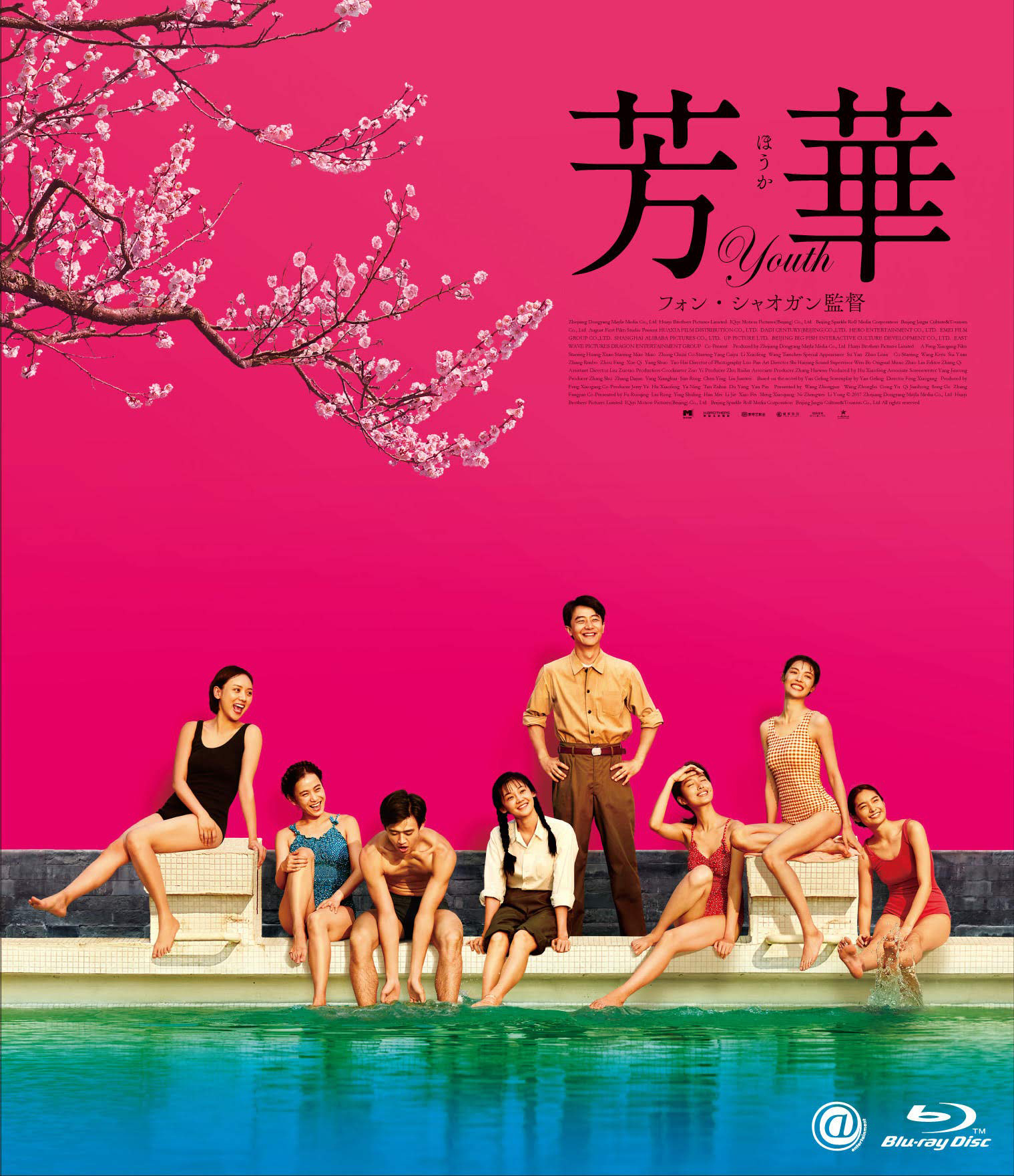 芳华[DIY简繁字幕]日高码版 喜欢的可以洗版 Youth 2017 1080p JPN Blu-ray AVC DTS-HD MA 5.1-wezjh@OurBits    [41.12 GB]