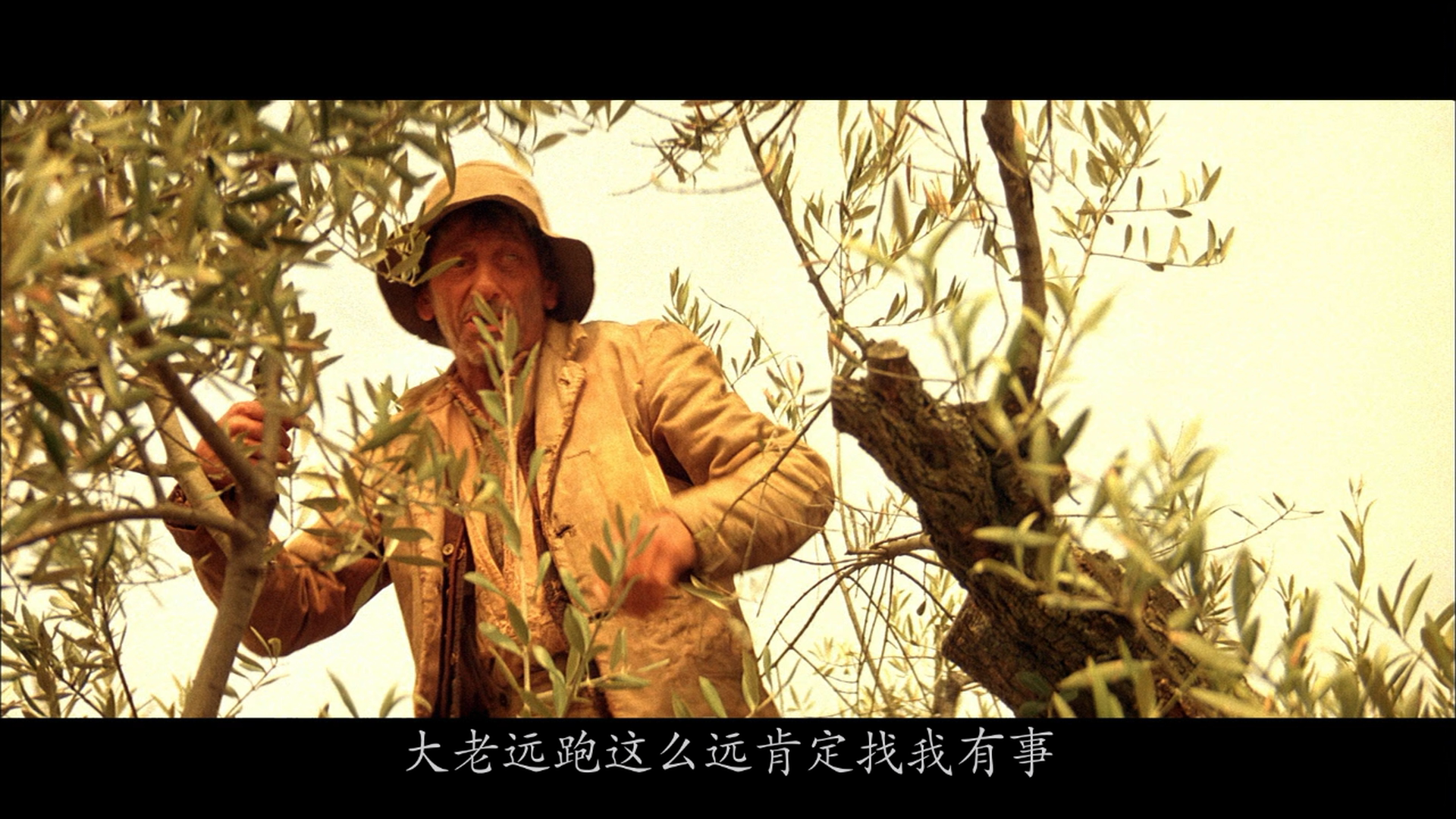 [恋恋山城].Jean.de.Florette.1986.BluRay.1080p.AVC.DTS-HD.MA.5.1-XOXO@HDSky      40.08G-4.png