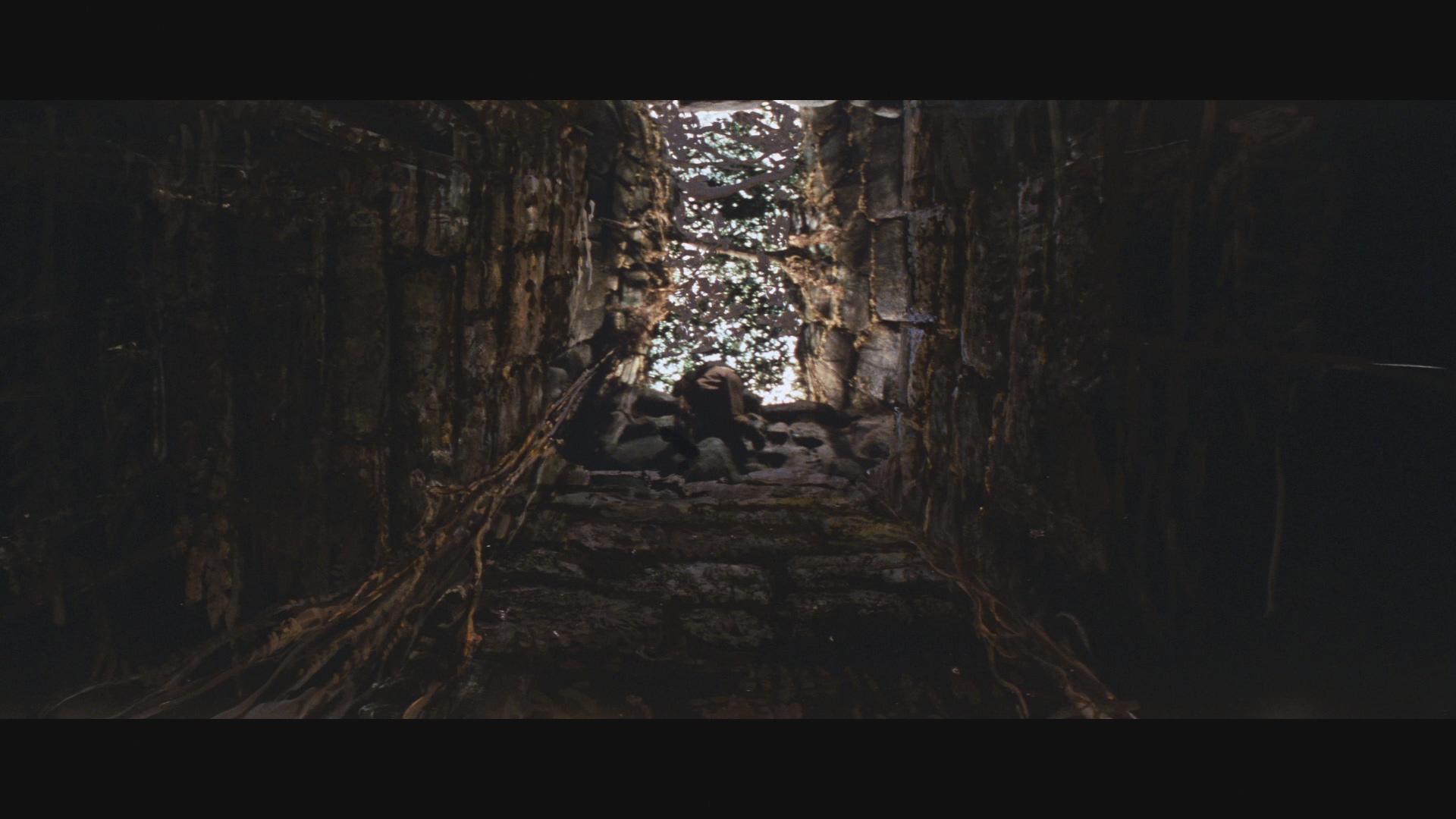 [夺宝奇兵1].Indiana.Jones.Raiders.of.the.Lost.Ark.1981.BluRay.1080p.AVC.DTS-HD.MA.5.1-F13@HDSpace     36.16G-6.jpg