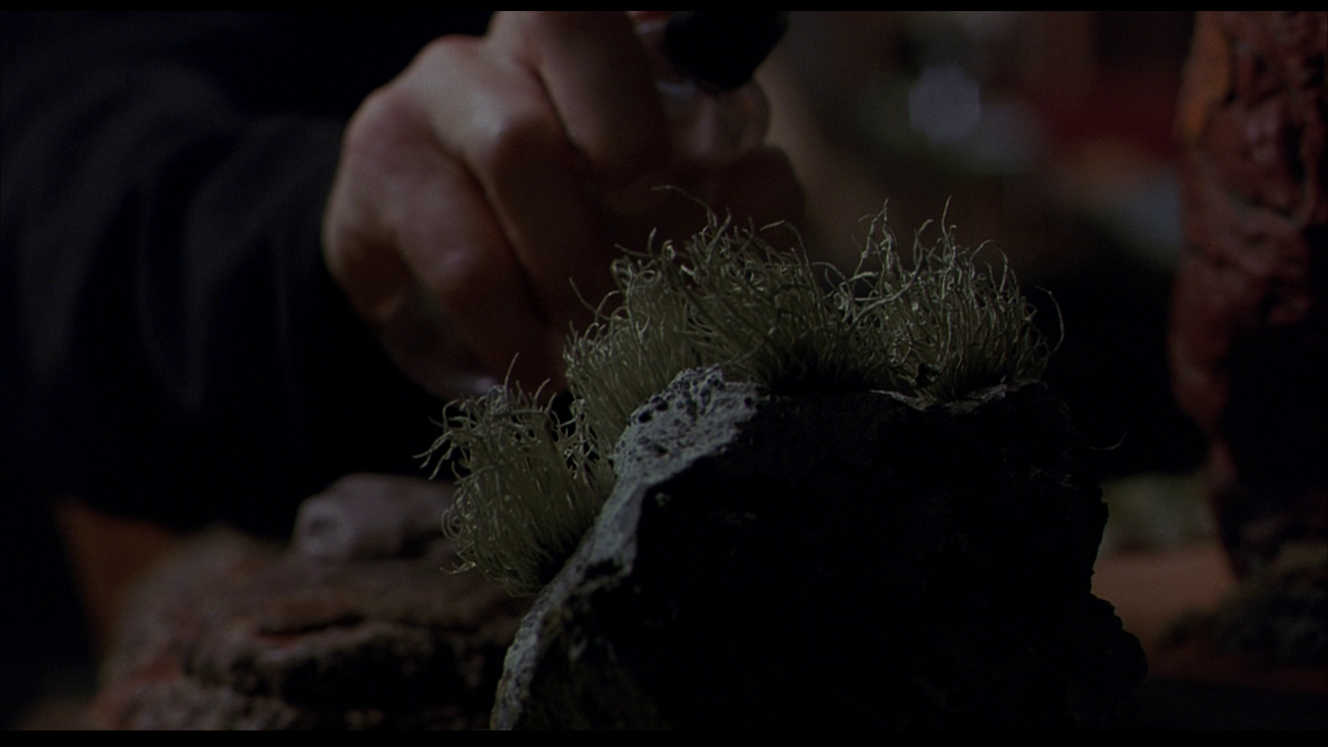 [绿巨人1].Hulk.2003.BluRay.1080p.VC-1.DTS-HD.MA.5.1-F13@HDSpace[40.38G]-6.png