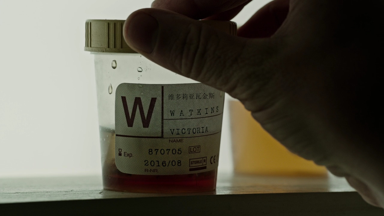[救命解药].A.Cure.for.Wellness.2016.BluRay.1080p.AVC.DTS-HD.MA.7.1-AA@OurBits   43.92G-10.jpg