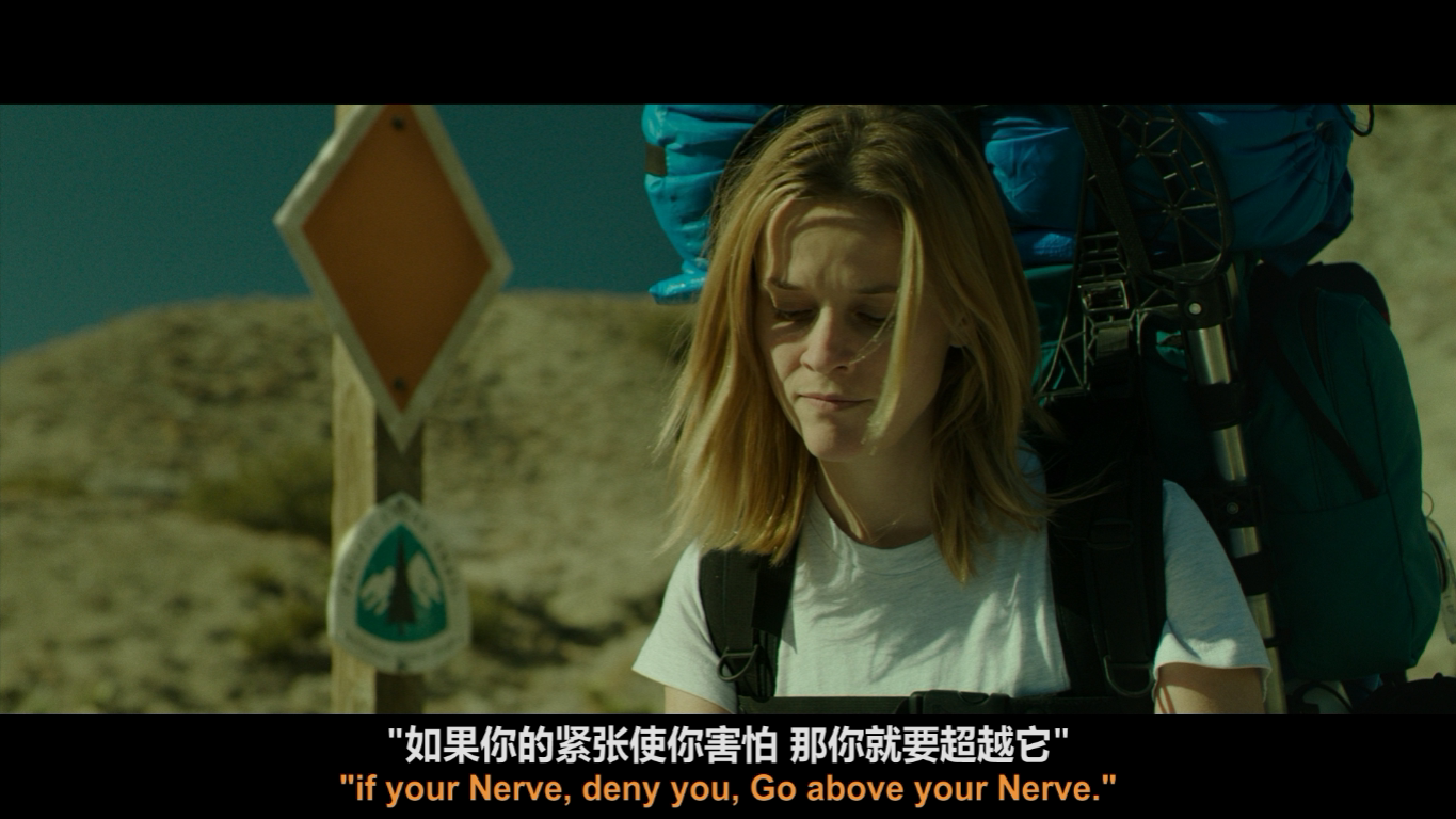 [涉足荒野].Wild.2014.TW.BluRay.1080p.AVC.DTS-HD.MA.5.1-A236P5@OurBits[43.83G]-13.png