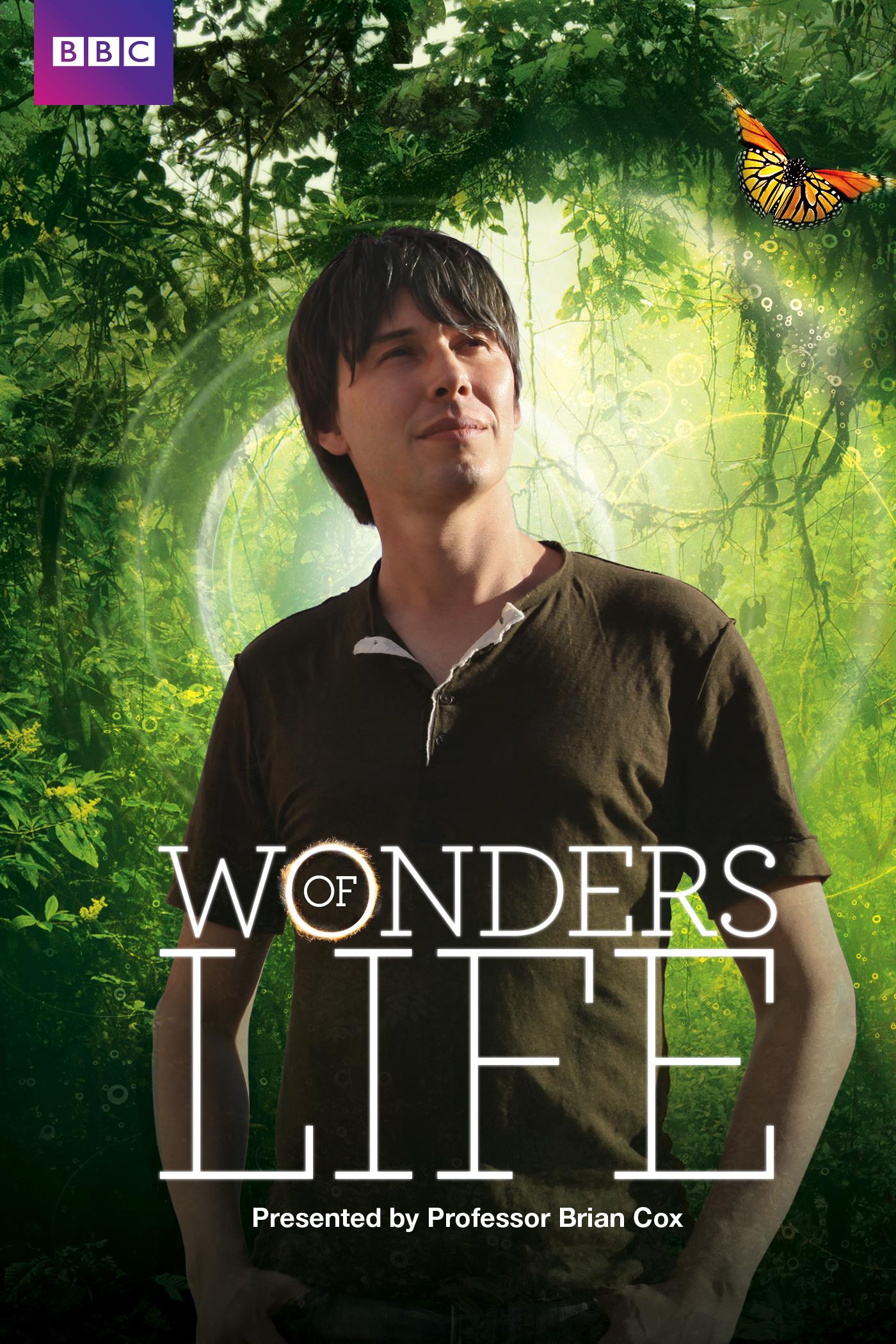 [BBC·生命的奇迹].BBC.Wonders.of.Life.2013.Disc2.BluRay.1080i.AVC.DTS-HD.MA.2.0-KBu@CHDBits     34.12G-2.jpg