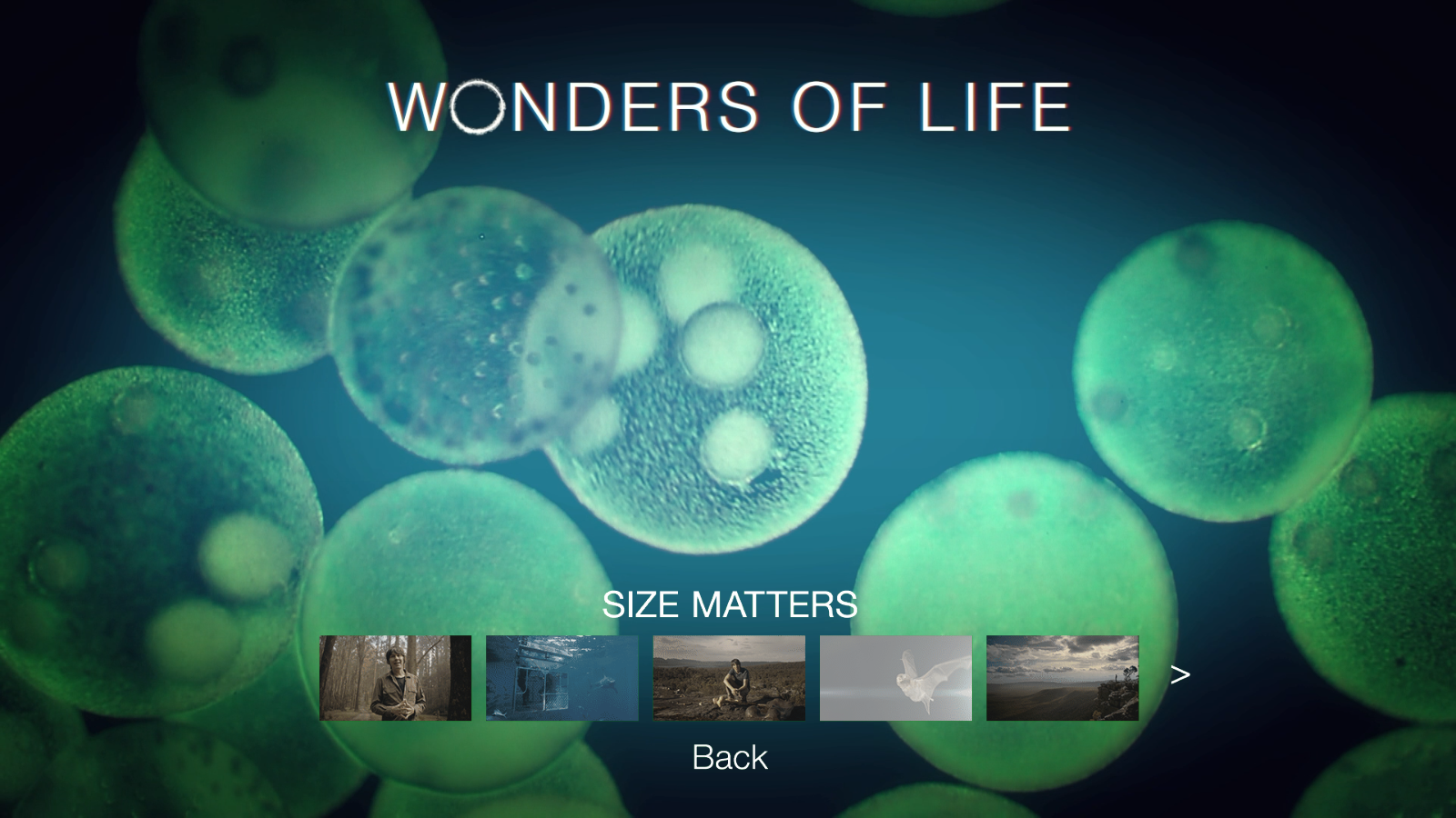 [BBC·生命的奇迹].BBC.Wonders.of.Life.2013.Disc2.BluRay.1080i.AVC.DTS-HD.MA.2.0-KBu@CHDBits     34.12G-4.png