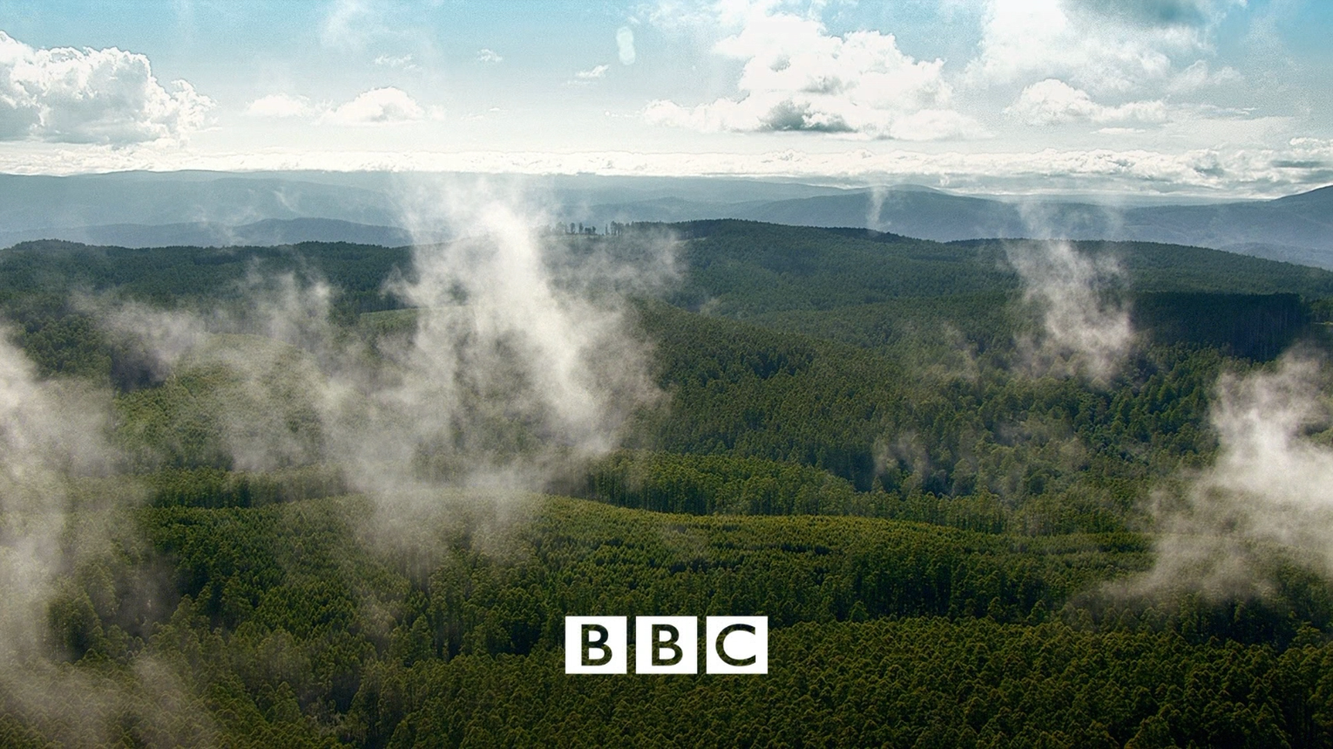 [BBC·生命的奇迹].BBC.Wonders.of.Life.2013.Disc2.BluRay.1080i.AVC.DTS-HD.MA.2.0-KBu@CHDBits     34.12G-5.png