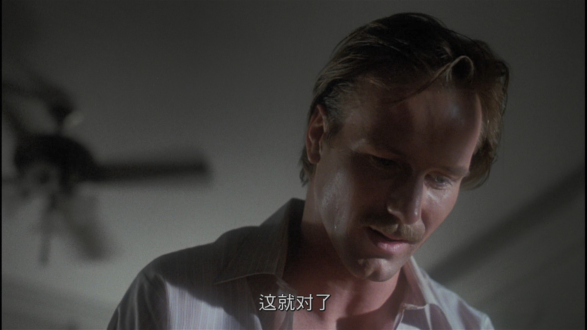 [体热].Body.Heat.1981.WB.BluRay.1080p.VC-1.TrueHD.5.1-blucook@CHDBits[19.3G]-3.jpg