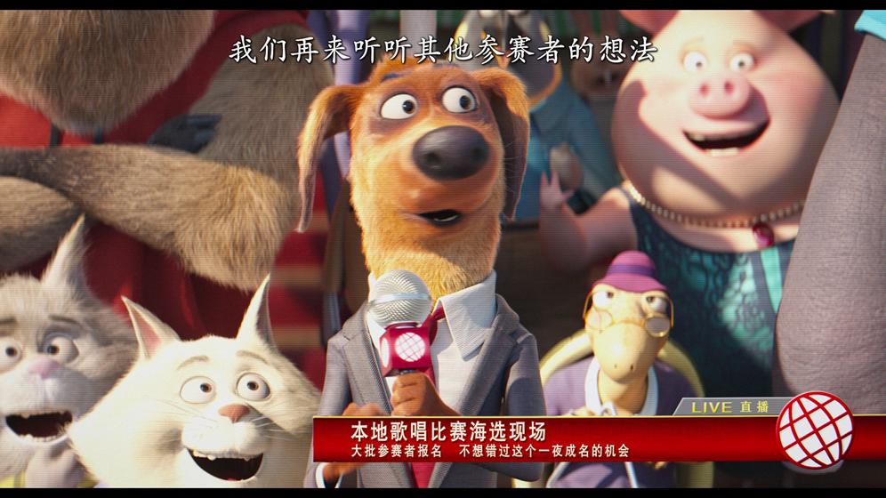 [欢乐好声音].Sing.2016.HKG.BluRay.1080p.AVC.TrueHD.7.1-sgNb@CHDBits[43.42G]-28.jpg