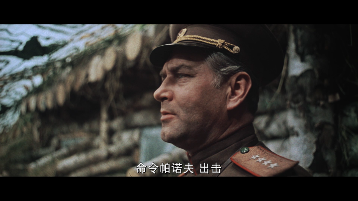 [解放].Liberation.1969-1971.Disc1.BluRay.1080p.AVC.DD.2.0-shiwo@CHDBits    41.89G-5.png