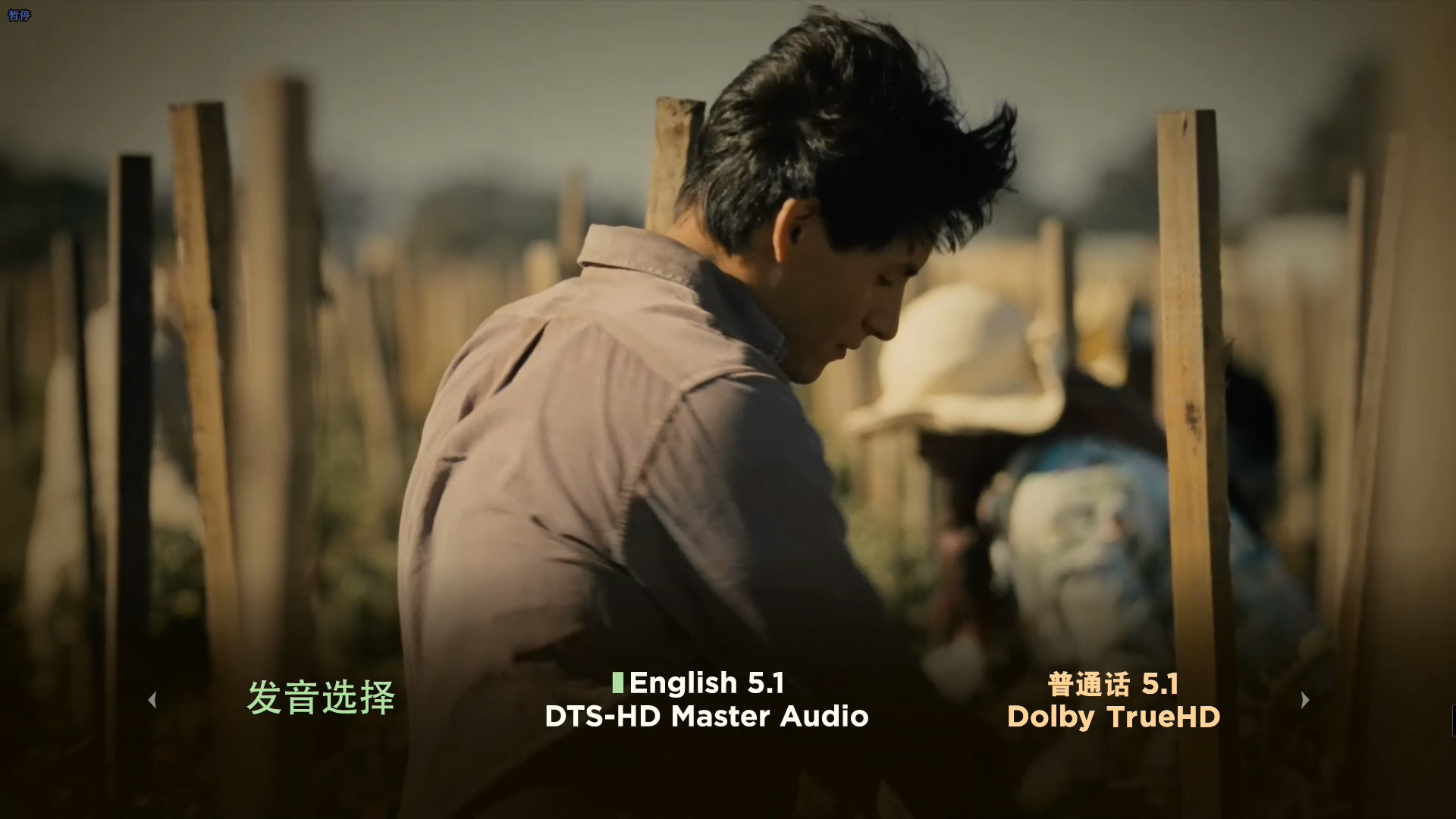 [麦克法兰].McFarland.USA.2015.BluRay.1080p.AVC.DTS-HD.MA.5.1-CHDBits    40.53G-6.jpg