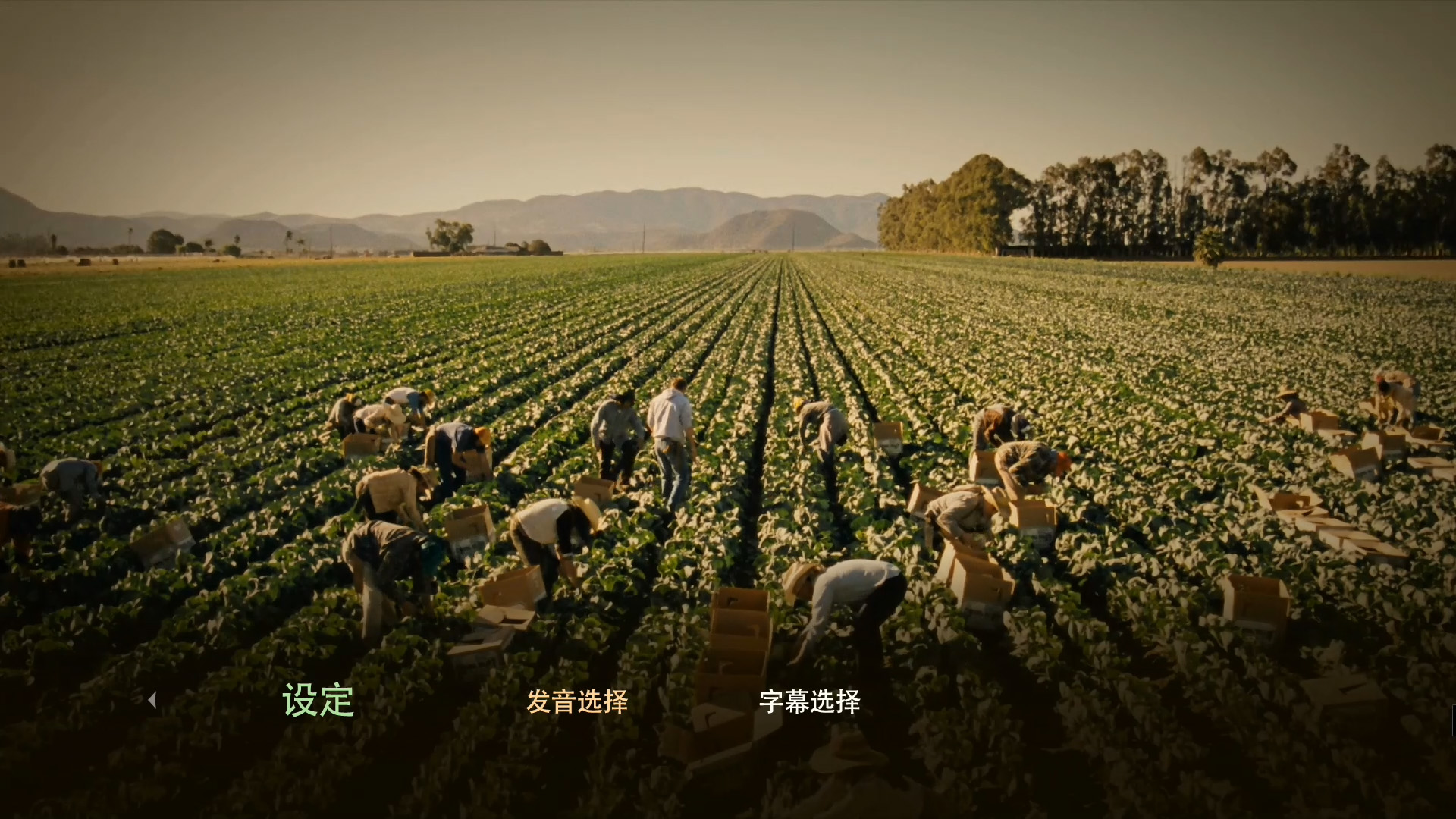 [麦克法兰].McFarland.USA.2015.BluRay.1080p.AVC.DTS-HD.MA.5.1-CHDBits    40.53G-7.jpg