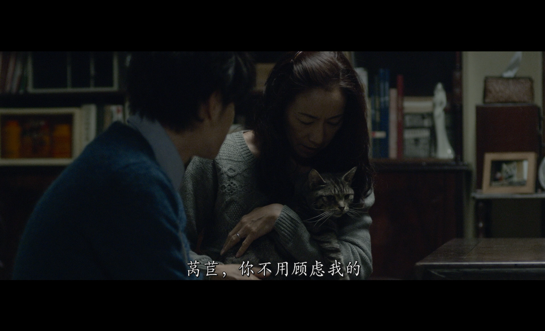 [假如猫从世界上消失了].If.Cats.Disappeared.From.the.World.2016.BluRay.1080p.AVC.DTS-HD.MA.5.1-DIY@ttg    35.72G-10.png