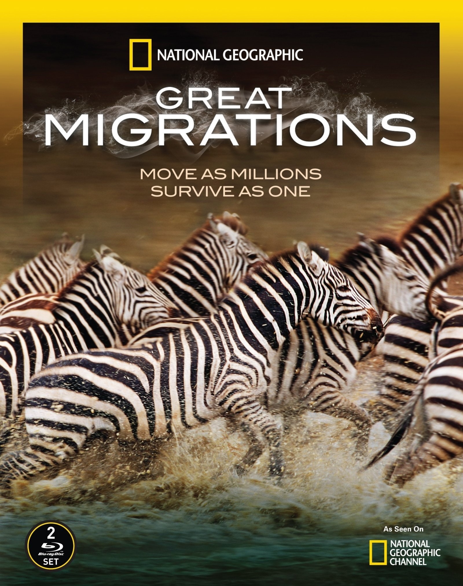 [国家地理：大迁徙 ][原盘DIY 简繁特效中字 修正版].Great.Migrations.2010.Disc1.BluRay.1080i.AVC.DTS-HD.MA.5.1-TTG       45.73G