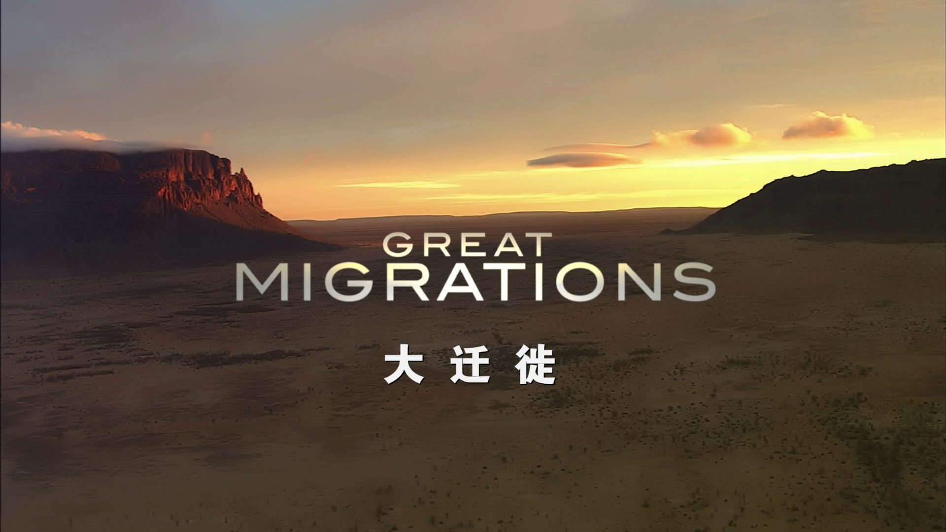 [大迁徙].Great.Migrations.2010.Disc2.BluRay.1080i.AVC.DTS-HD.MA.5.1-TTG       45.64G-4.png