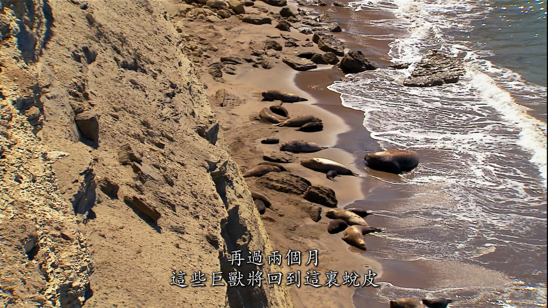 [大迁徙].Great.Migrations.2010.Disc2.BluRay.1080i.AVC.DTS-HD.MA.5.1-TTG       45.64G-8.png