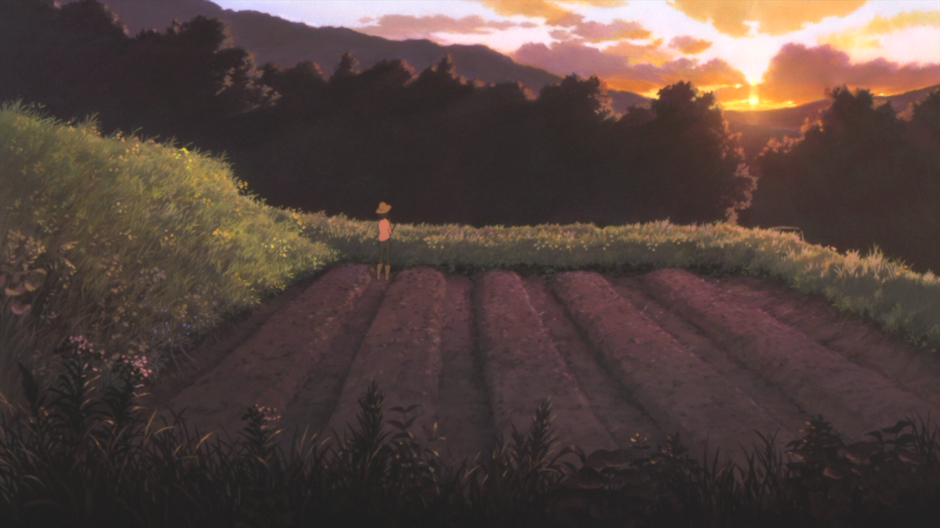 [狼的孩子雨和雪].Wolf.Children.2012.HK.BluRay.1080p.AVC.DTS-HD.MA.5.1-TTG    22.31G-5.png