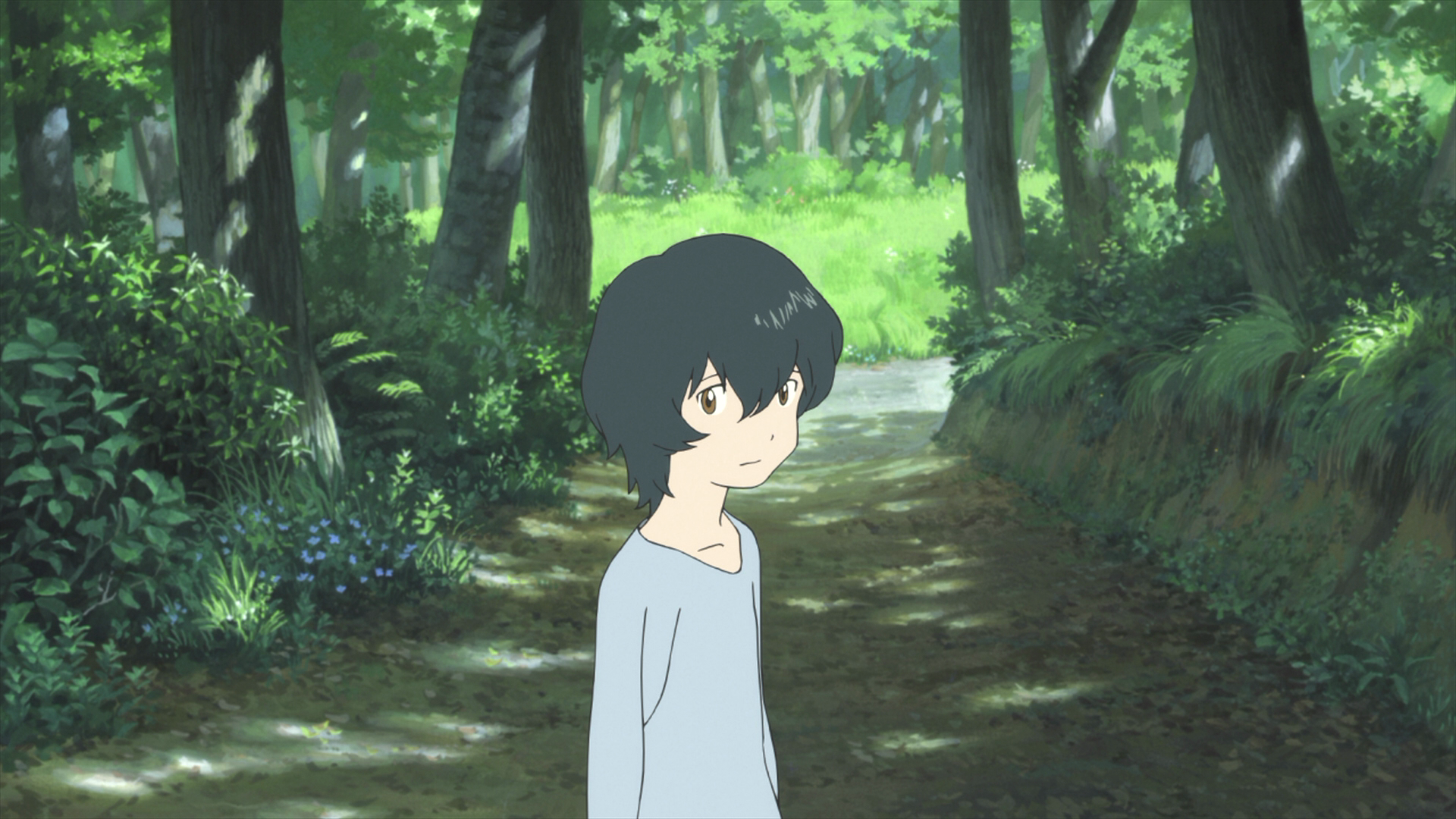 [狼的孩子雨和雪].Wolf.Children.2012.HK.BluRay.1080p.AVC.DTS-HD.MA.5.1-TTG    22.31G-7.png