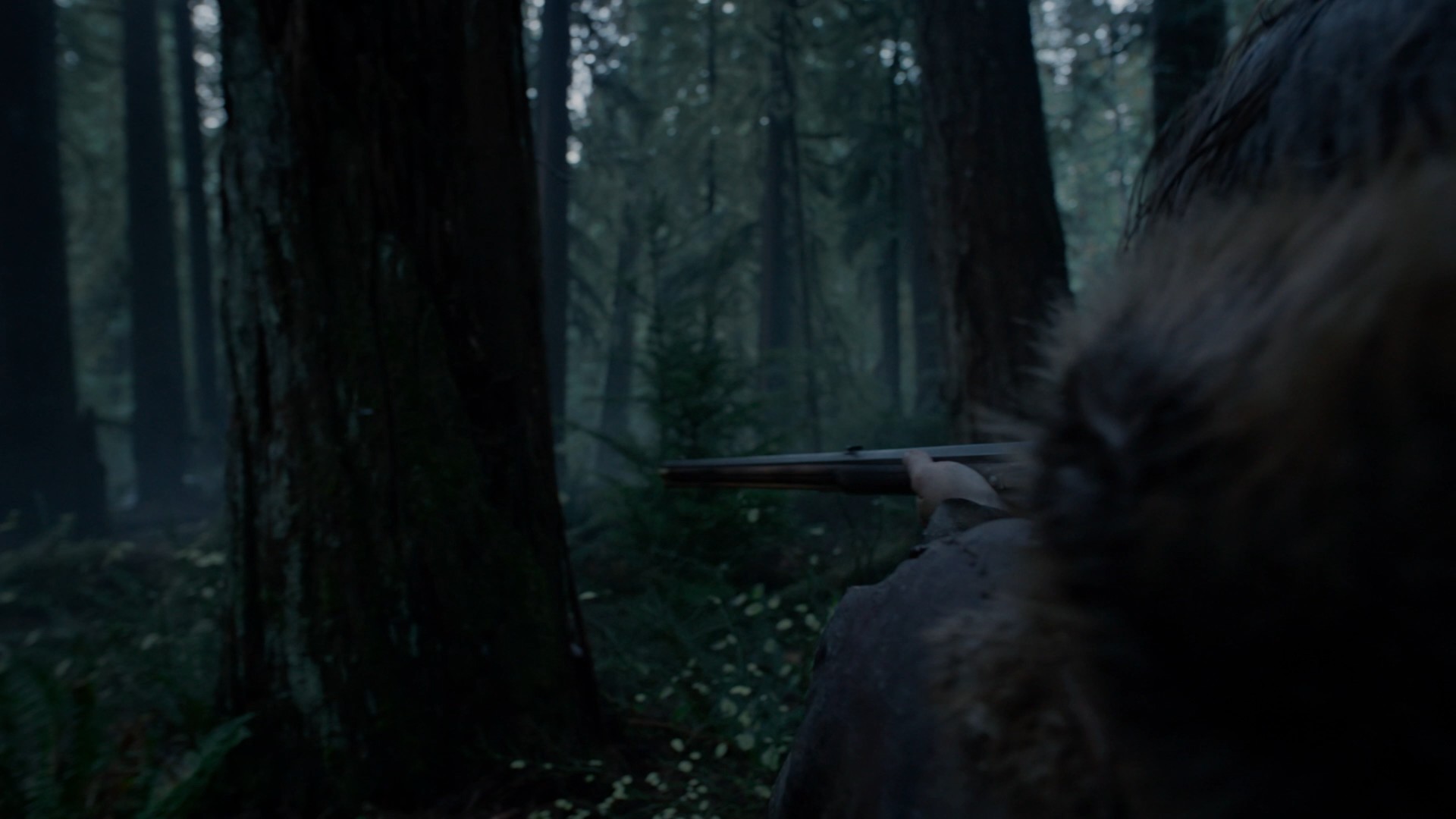 [荒野猎人].The.Revenant.2015.TW.2Disc.BluRay.1080p.AVC.DTS-HD.MA.5.1-TTG  43.11G-4.jpg