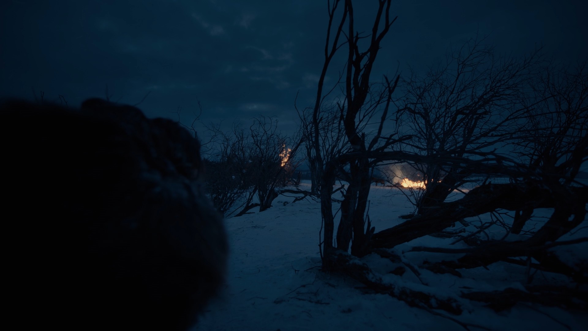 [荒野猎人].The.Revenant.2015.TW.2Disc.BluRay.1080p.AVC.DTS-HD.MA.5.1-TTG  43.11G-9.jpg