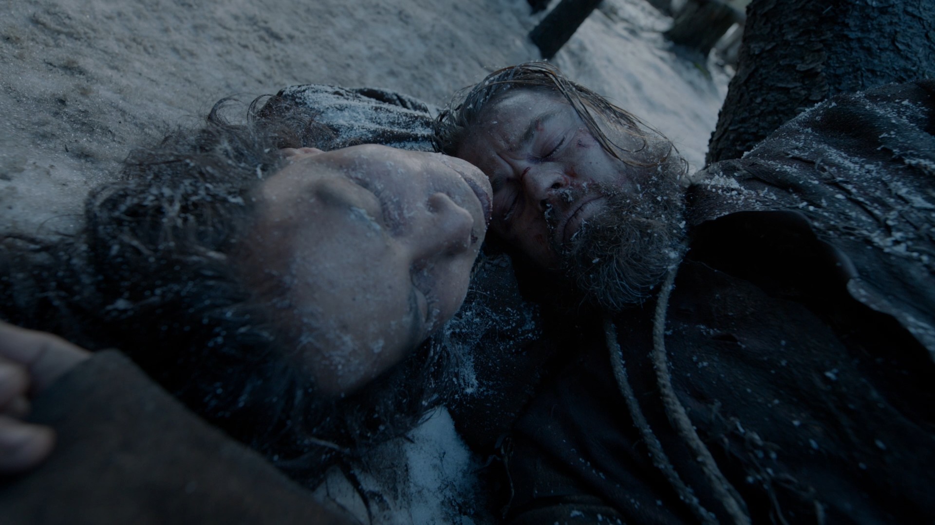 [荒野猎人].The.Revenant.2015.TW.2Disc.BluRay.1080p.AVC.DTS-HD.MA.5.1-TTG  43.11G-7.jpg