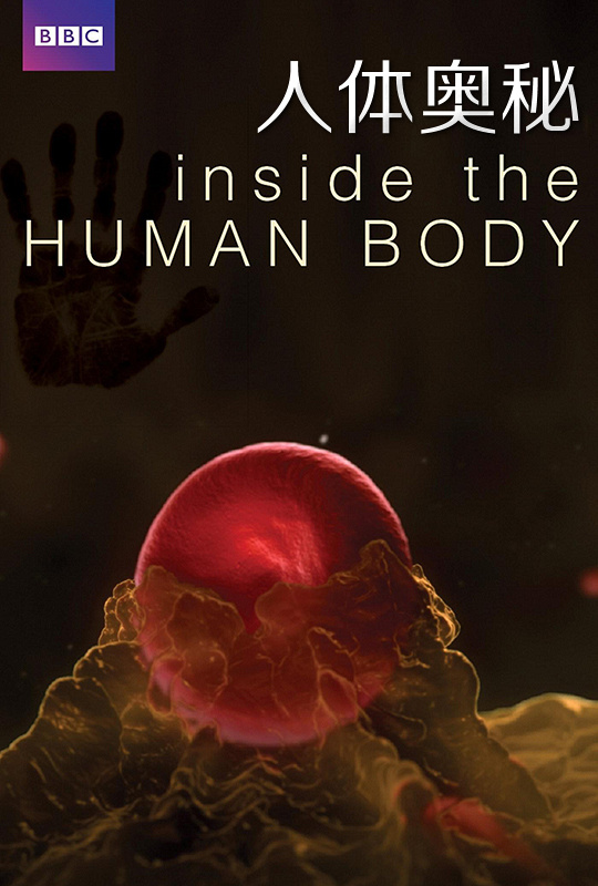 [人体奥秘].Inside.the.Human.Body.2011.TW.BluRay.1080i.AVC.DTS-HD.MA.2.0-TTG  43.56G-1.jpg