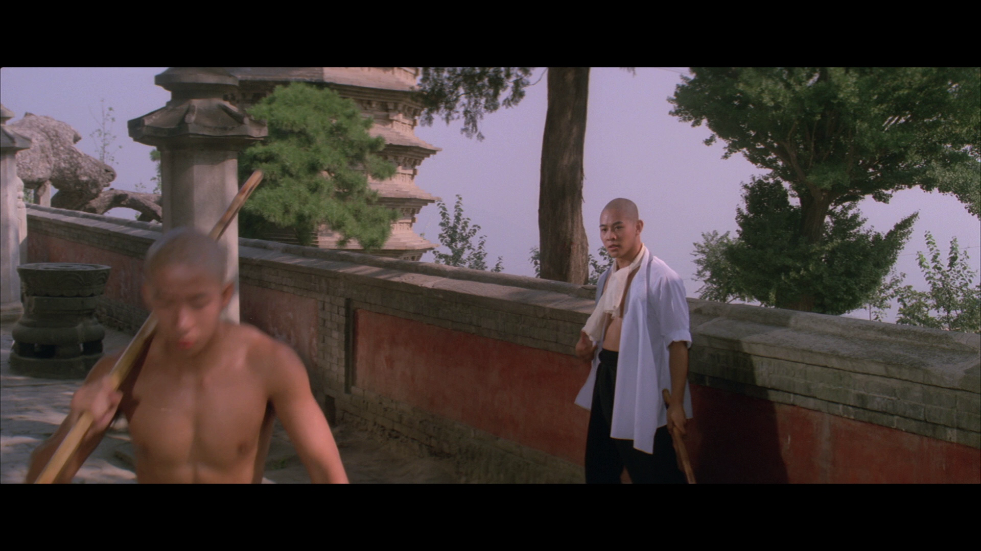 [南北少林].Martial.arts.of.Shaolin.1986.BluRay.1080p.AVC.TrueHD.5.1-HDHome   35.89G-6.png