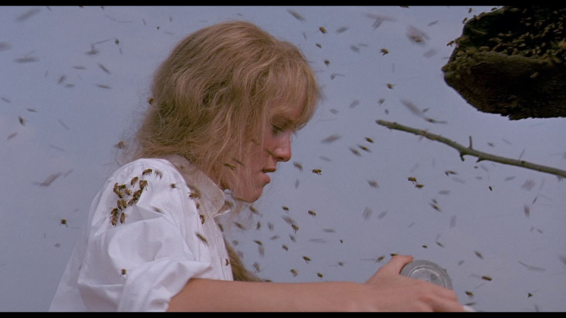 [油炸绿番茄].Fried.Green.Tomatoes.1991.BluRay.1080p.AVC.DTS-HD.MA.2.0-DiY@HDHome    27.79G-8.png