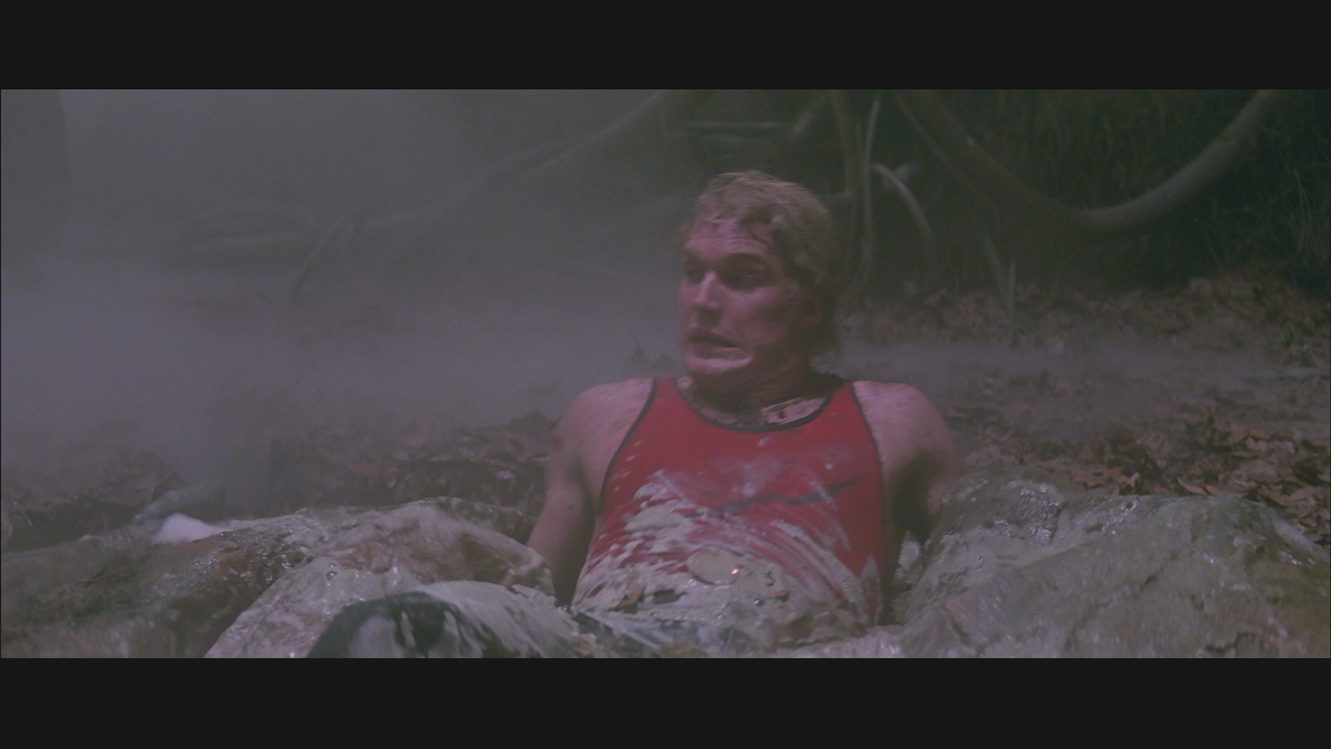 [飞侠哥顿].Flash.Gordon.1980.USA.BluRay.1080p.VC-1.DTS-HD.MA.5.1-HDHome     22.9G-7.png