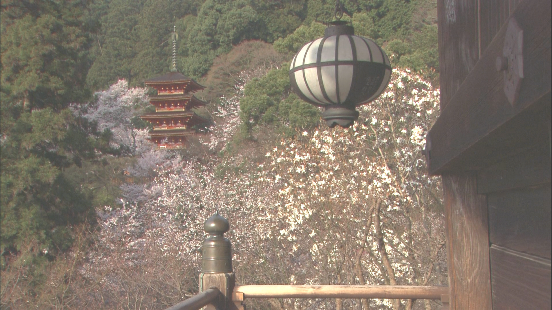 [实境之旅·怀之樱].Virtual.Trip.Sakura.Nostalgia.2010.BluRay.1080i.AVC.TrueHD.5.1-Anonymous    18.01G-6.png