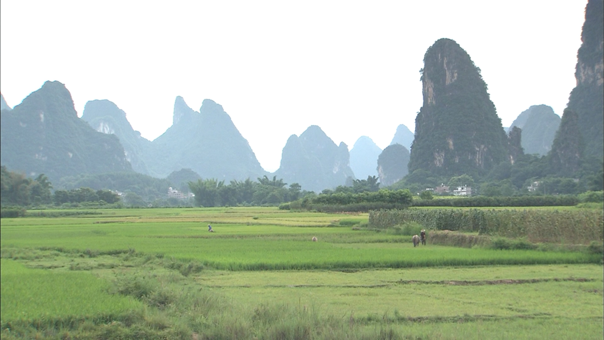 [实境之旅·桂林].Virtual.Trip.GuiLin.2007.BluRay.1080i.AVC.DD.5.1-Anonymous    20.32G-4.png