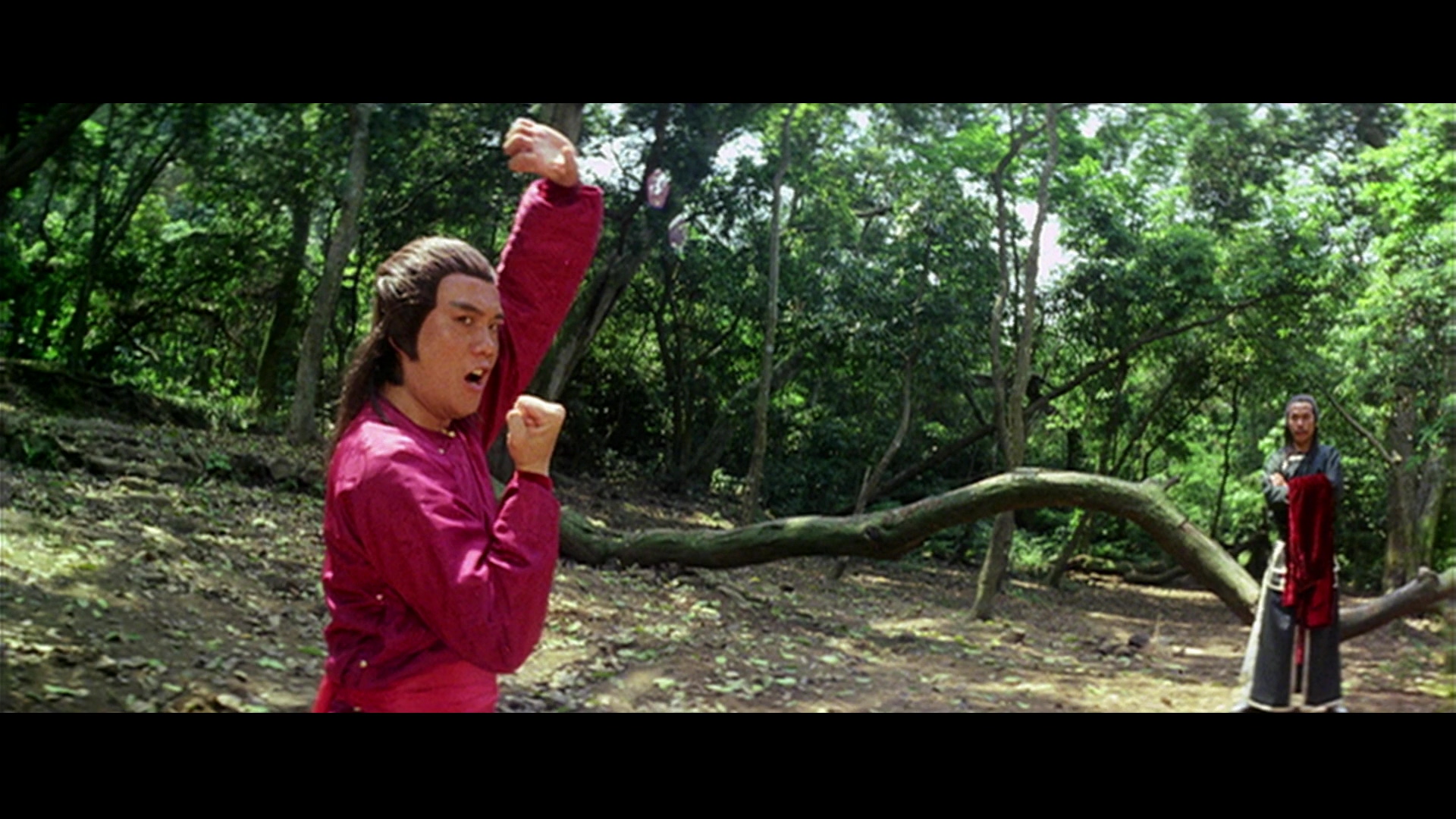 [拳精].Spiritual.Kung.Fu.1978.BluRay.1080p.AVC.DTS-HD.MA.5.1-OurDisc    20.66G-8.jpg