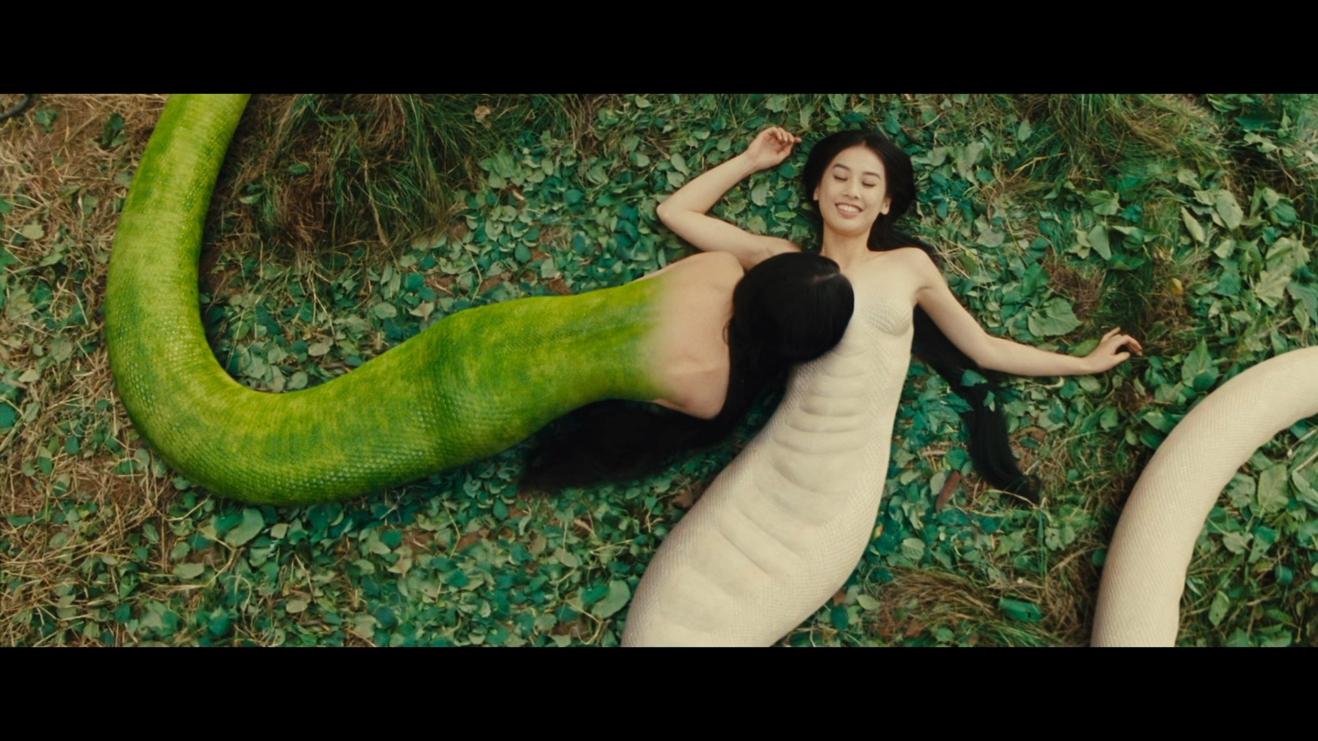 [白蛇传说].The.Sorcerer.And.The.White.Snake.2011.BluRay.1080p.AVC.DTS-HD.MA.5.1-OurDisc   22.92G-4.png