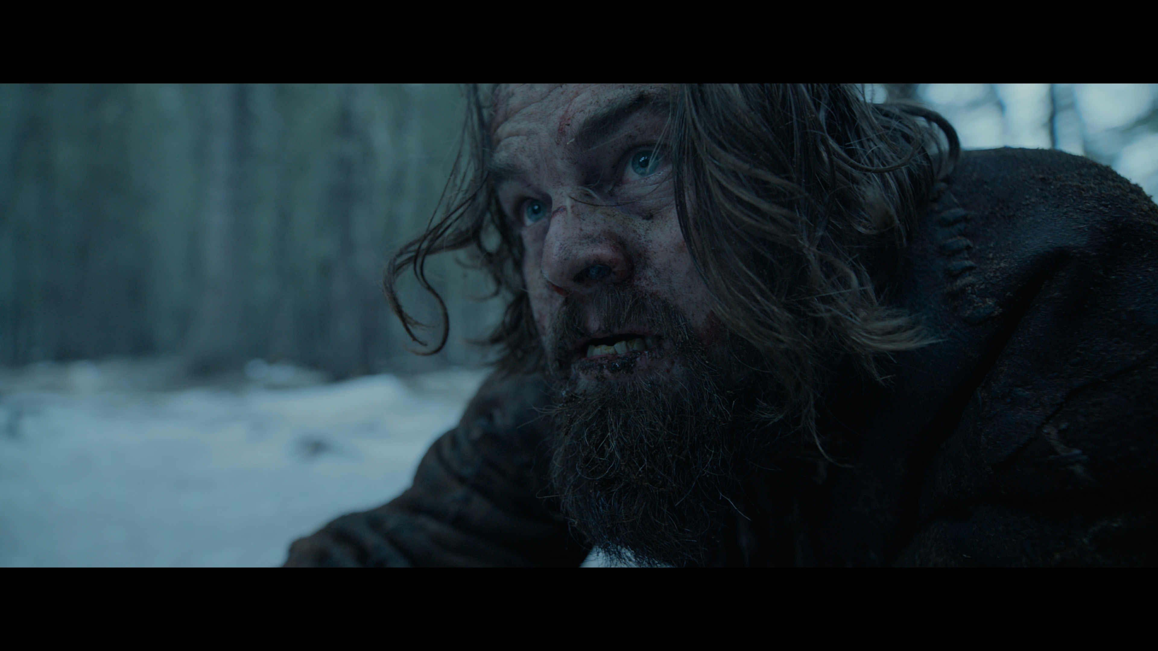 [荒野猎人].The.Revenant.2015.UHD.BluRay.2160p.HEVC.DTS-HD.MA.7.1-LianHH@CHDBits     58.7G-4.jpg