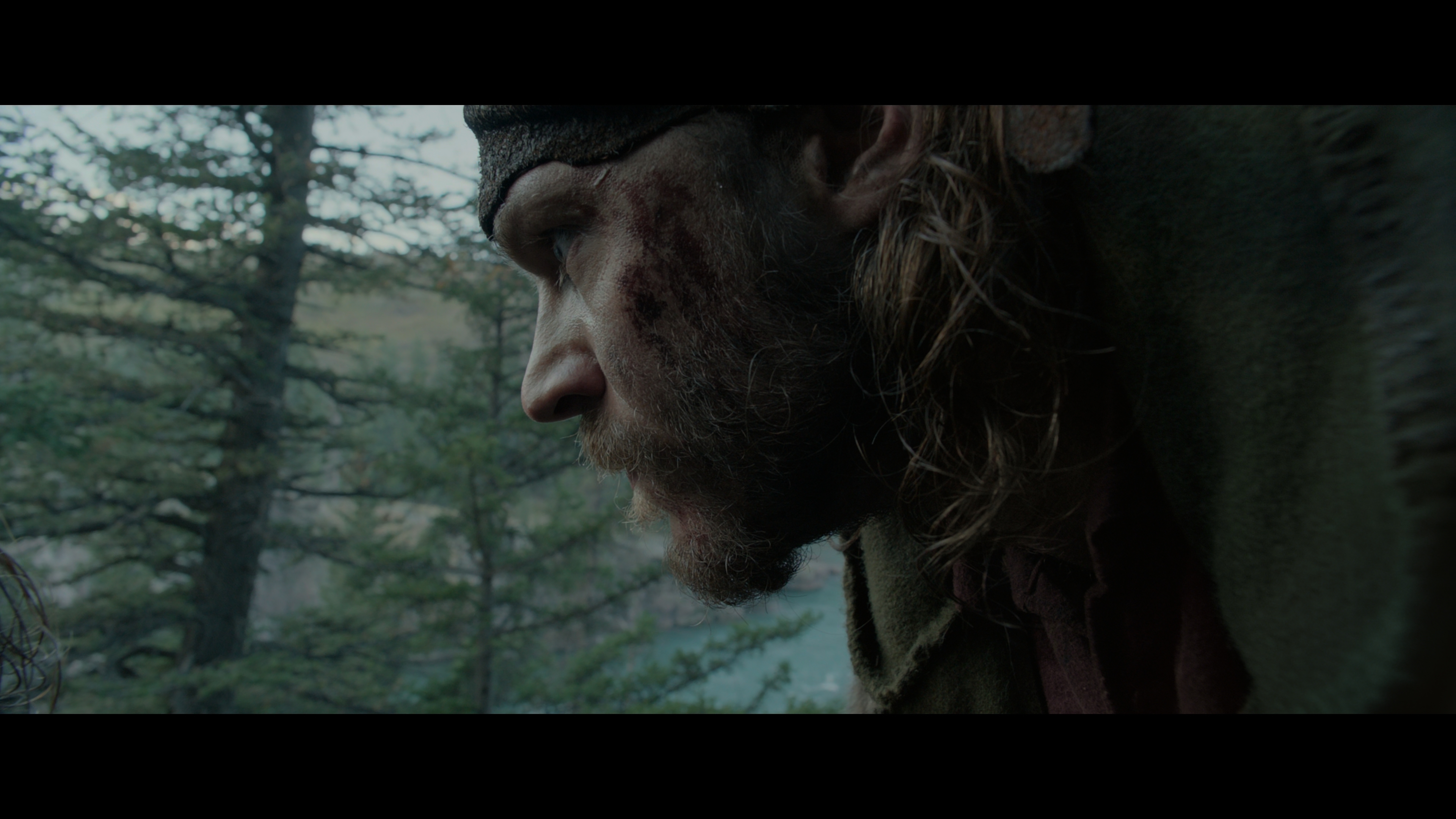 [荒野猎人].The.Revenant.2015.UHD.BluRay.2160p.HEVC.DTS-HD.MA.7.1-LianHH@CHDBits     58.7G-6.jpg