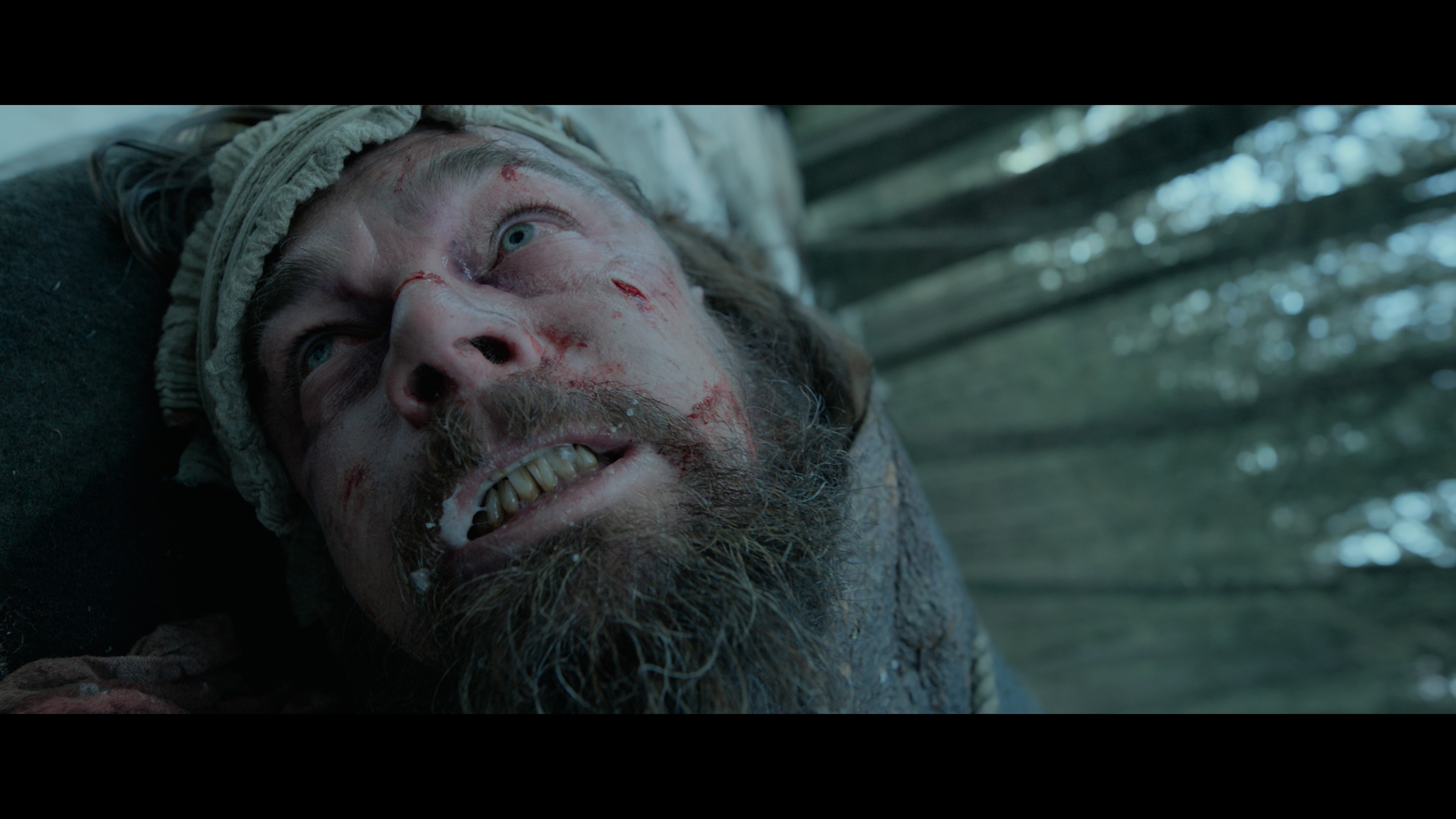 [荒野猎人].The.Revenant.2015.UHD.BluRay.2160p.HEVC.DTS-HD.MA.7.1-LianHH@CHDBits     58.7G-15.jpg