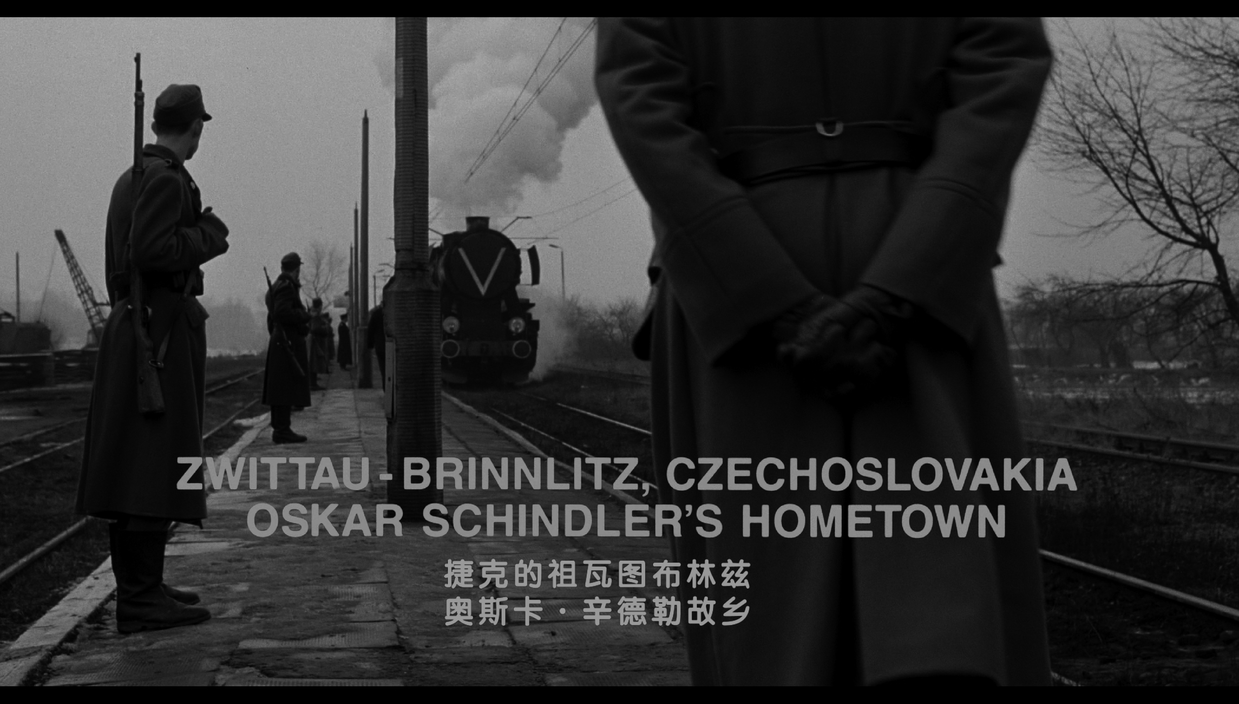 [辛德勒的名单].Schindler's.List.1993.UHD.BluRay.2160p.HEVC.TrueHD.7.1-LianHH@CHDBits     102.27G-9.png