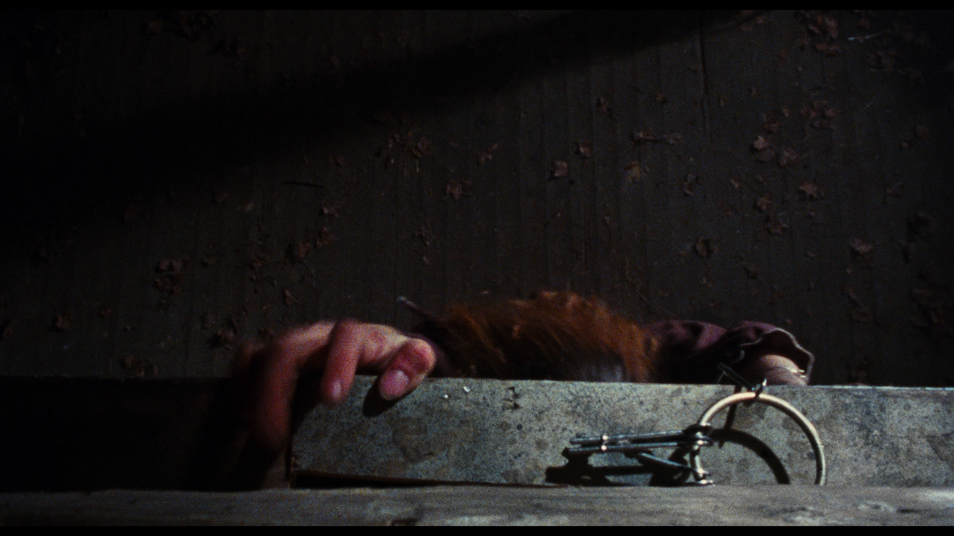 [鬼玩人].The.Evil.Dead.1981.BluRay.1080p.AVC.TrueHD.5.1-jjy0818@HDStar   38.81G$ o! x8 G) y' d2 ]-7.png