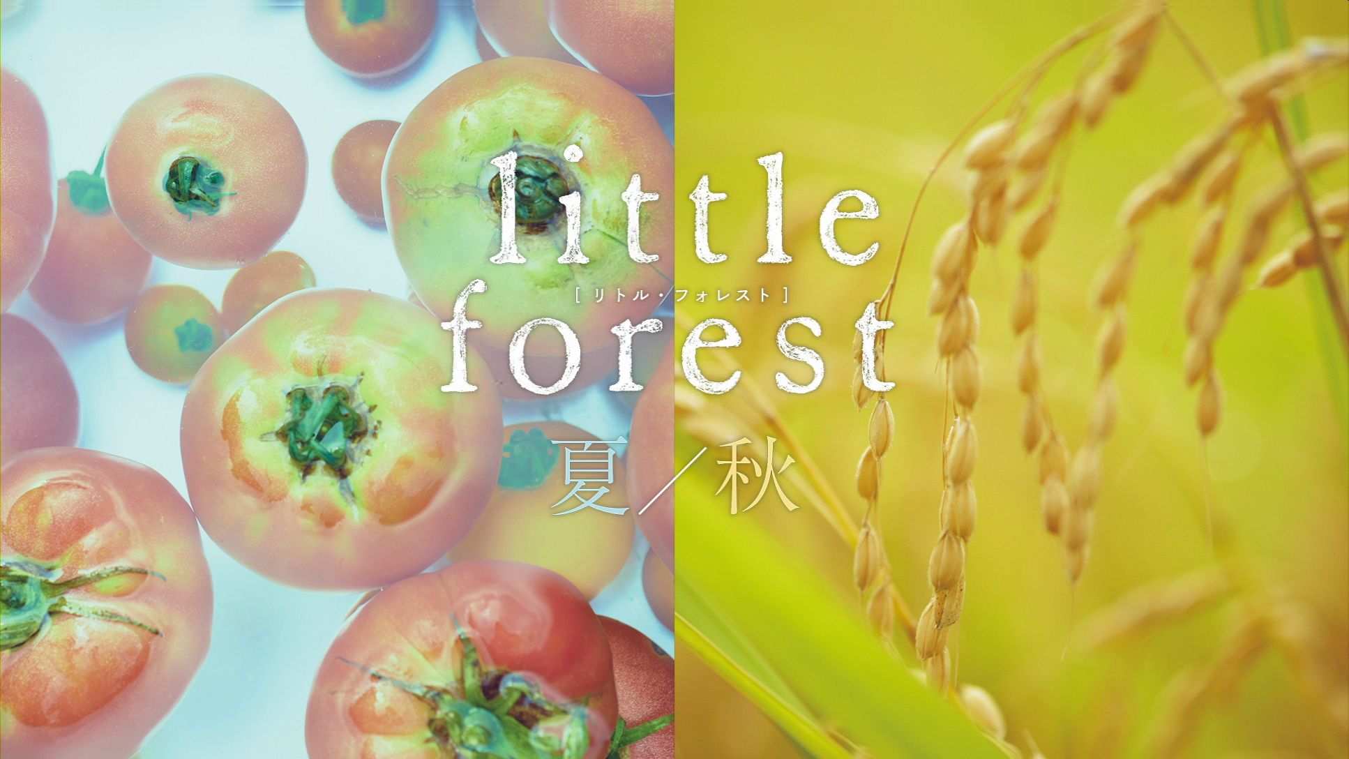 [小森林·夏秋篇].Little.Forest.Summer.Autumn.2014.BluRay.1080p.AVC.DTS-HD.MA.5.1@wcyharry    36.67G-2.jpg